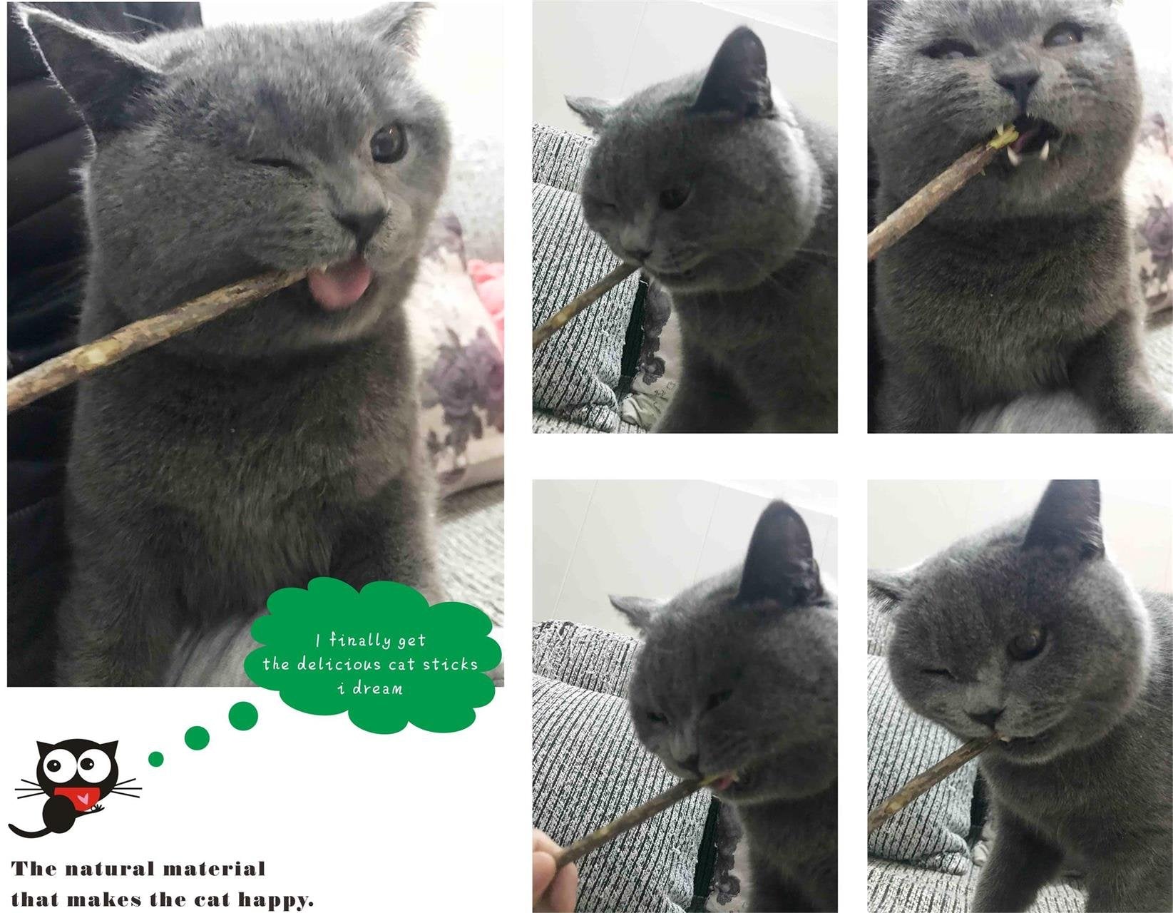 Cxp Good Goods Silvervine Sticks Cat Toys,Natural Matatabi Catnip Chew Sticks For Cat Kitten,Cat Teeth Molar Teeth Cleaning(26 Pcs)
