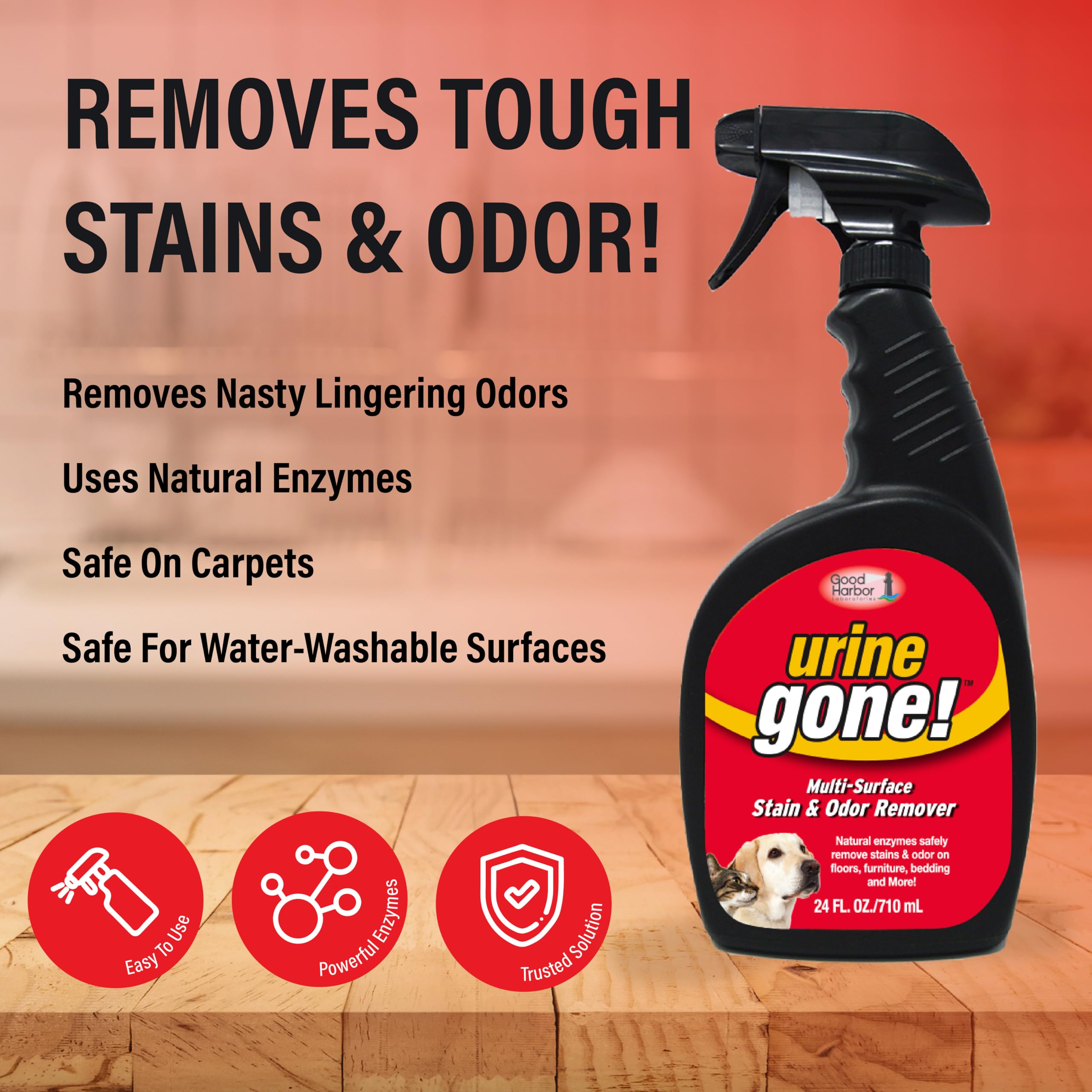 Urine Gone Stain & Odor Eliminator: Professional Strength Fast Acting, Enzyme Based Home Cleaning Solution for Carpet, Stain Rem