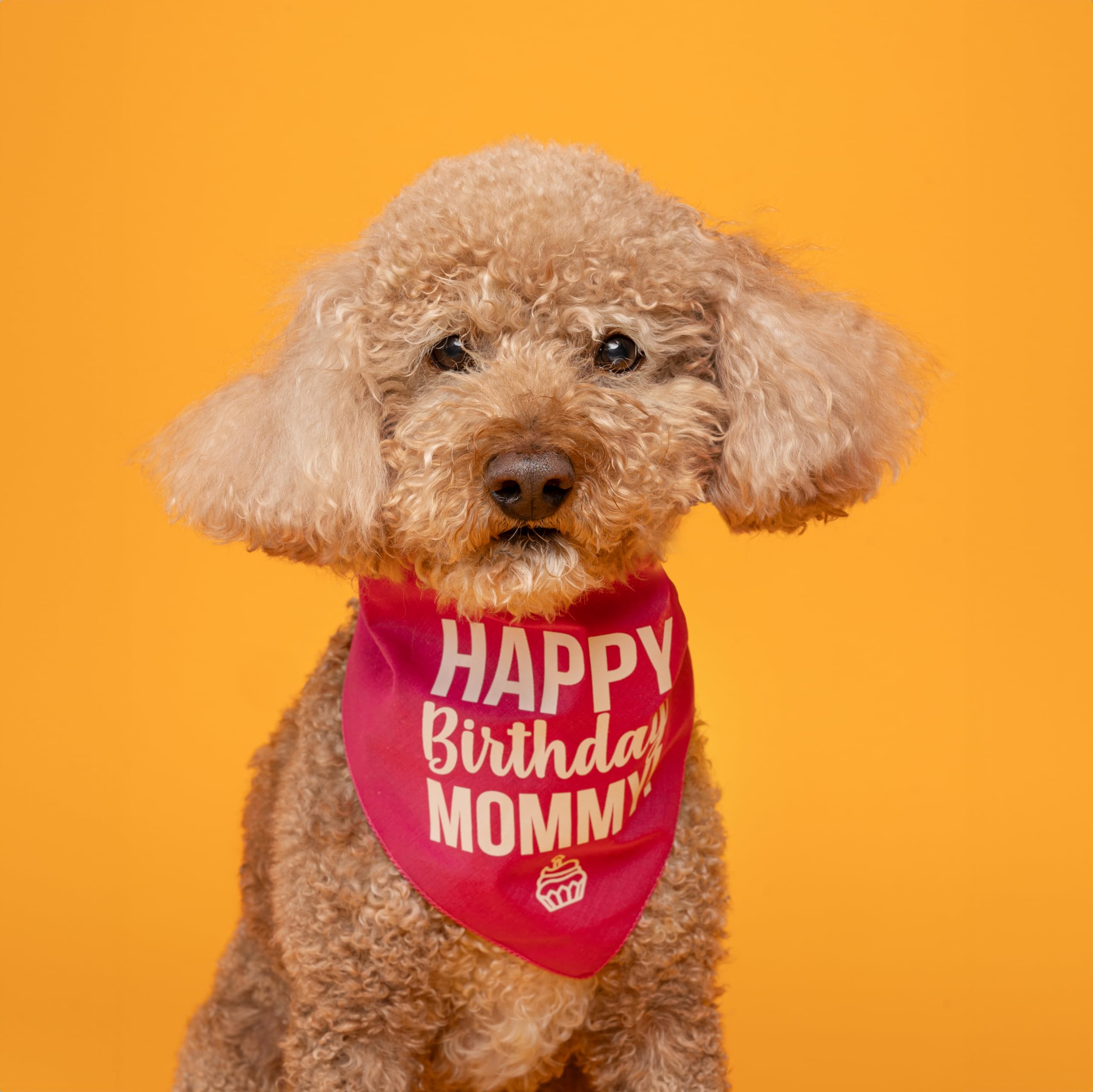 Happy Birthday Mommy! Dog Bandana | 100% Cotton Tie Dye | Made In Usa | Birthday Pawty | Party Theme | Celebration Photo Shoot P