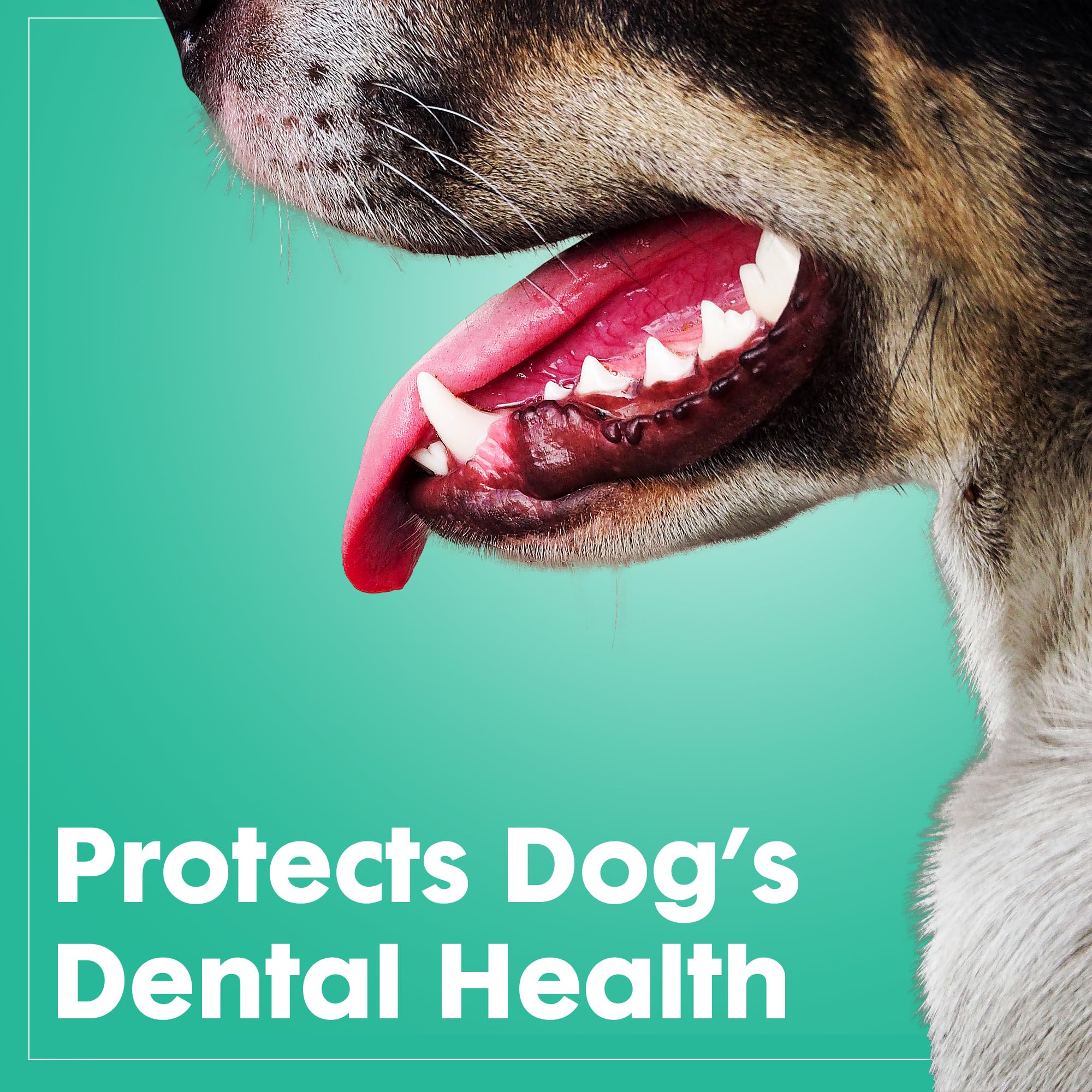 Dog Chew Toys For Aggressive Chewers - Treat Dispensing Chew Shoe Interactive Small Medium Dog Puzzle Toys, Dog Chew Enrichment Toys For Boredom And Brain Stimulating Game Keeps Them Engaged