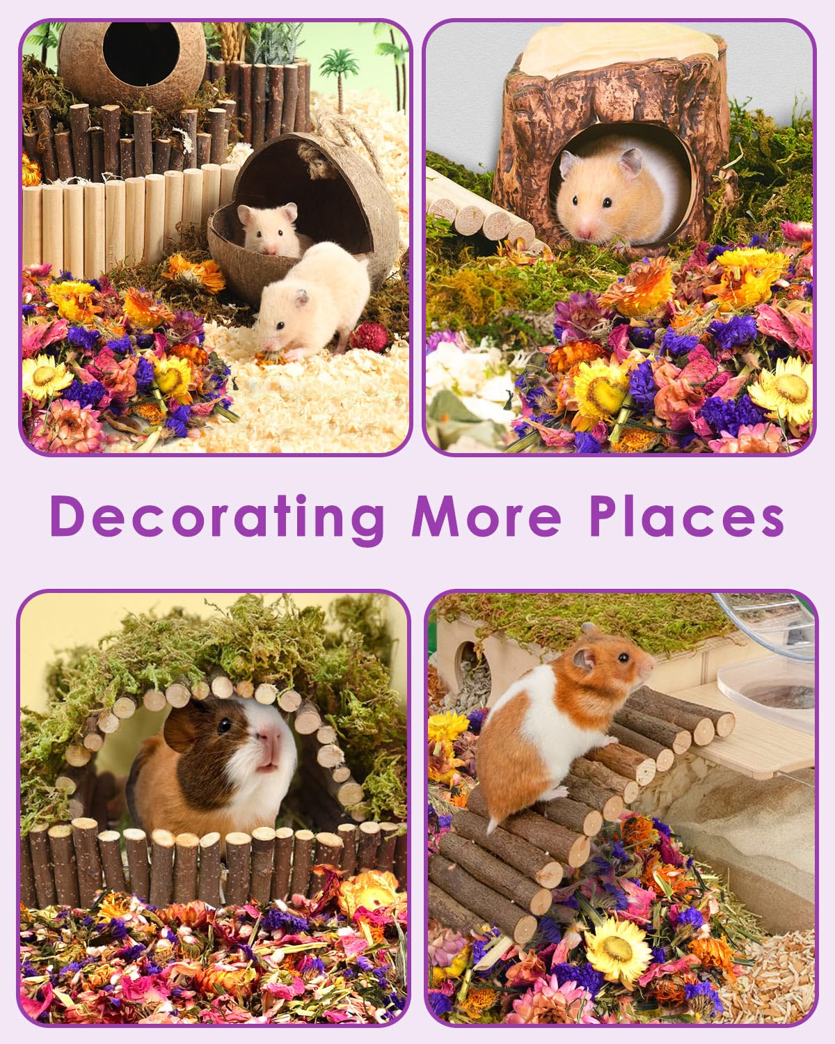 Bissap Natural Flower & Herb Hamster Bedding 300G/10.5Oz, Small Animal Flower Habitat Decor For Syrian Dwarf Hamster Gerbil Chinchilla Mice Degu And Other Small Pet Flower Bedding Odor Control Forage