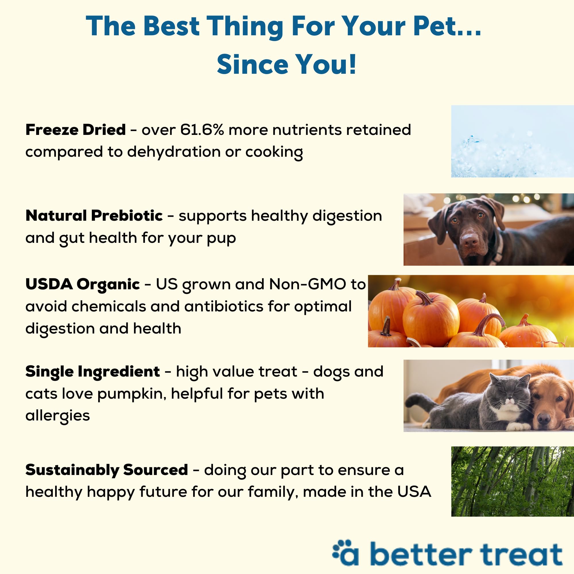 A Better Treat - Freeze Dried Organic Pumpkin Dog and Cat Treats, Organic, Single Ingredient | Natural, Healthy, Diabetic Friend
