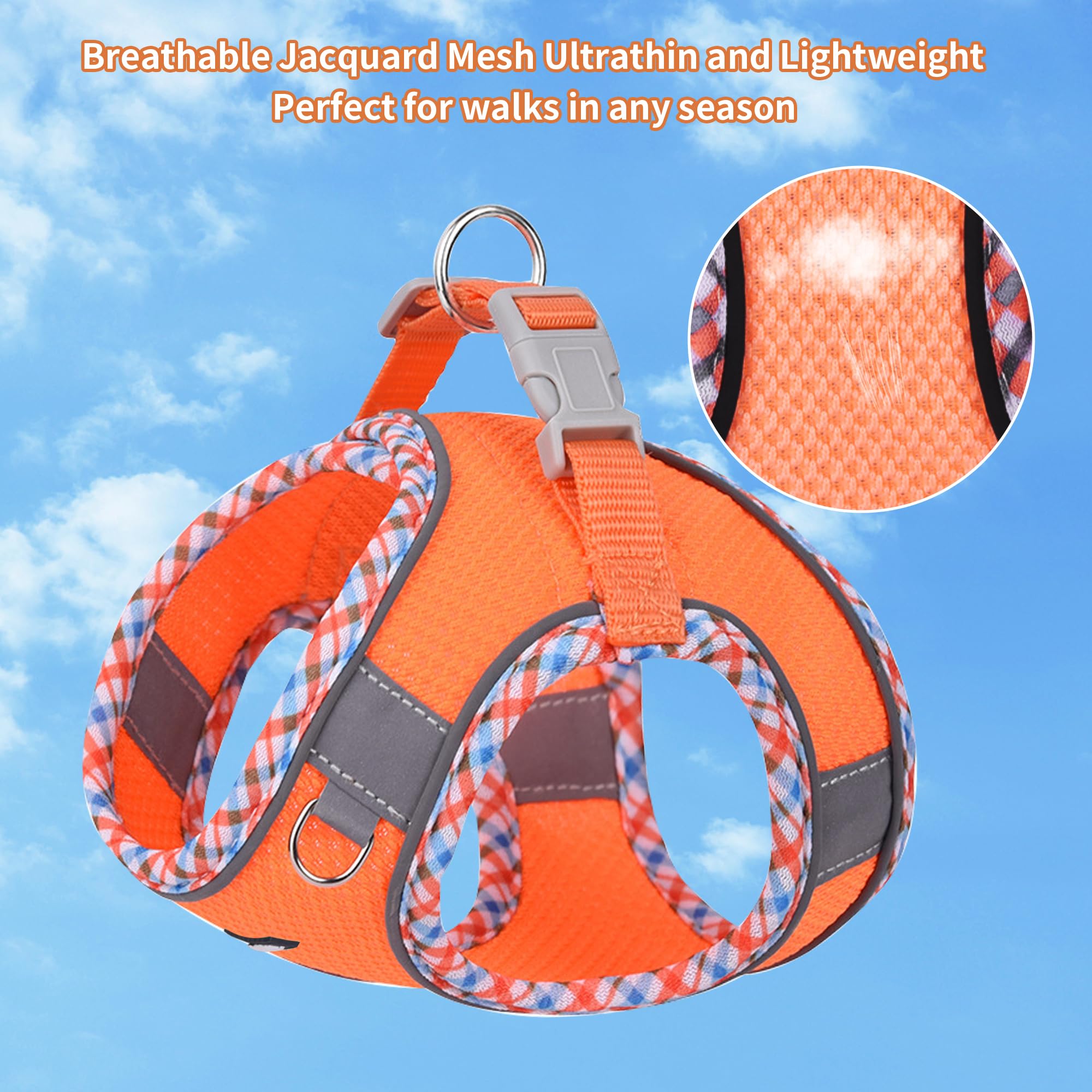 Aiitle Xxs Dog Harness & Leash Set - Breathable Reflective No-Choke Small Dog Harness For Teacup Puppies, Indoor/Outdoor Use - B