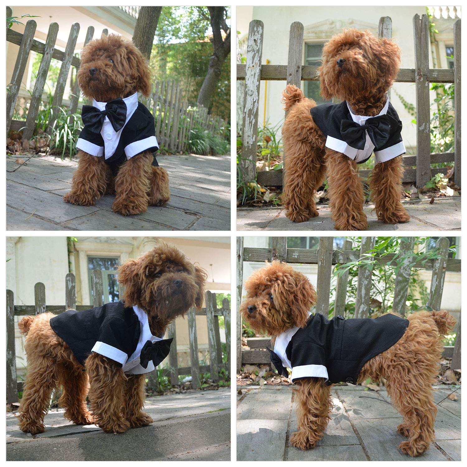 Lovelonglong Pet Costume Dog Suit Formal Tuxedo With Black Bow Tie For Small Dogs Pug Clothing Black Xl