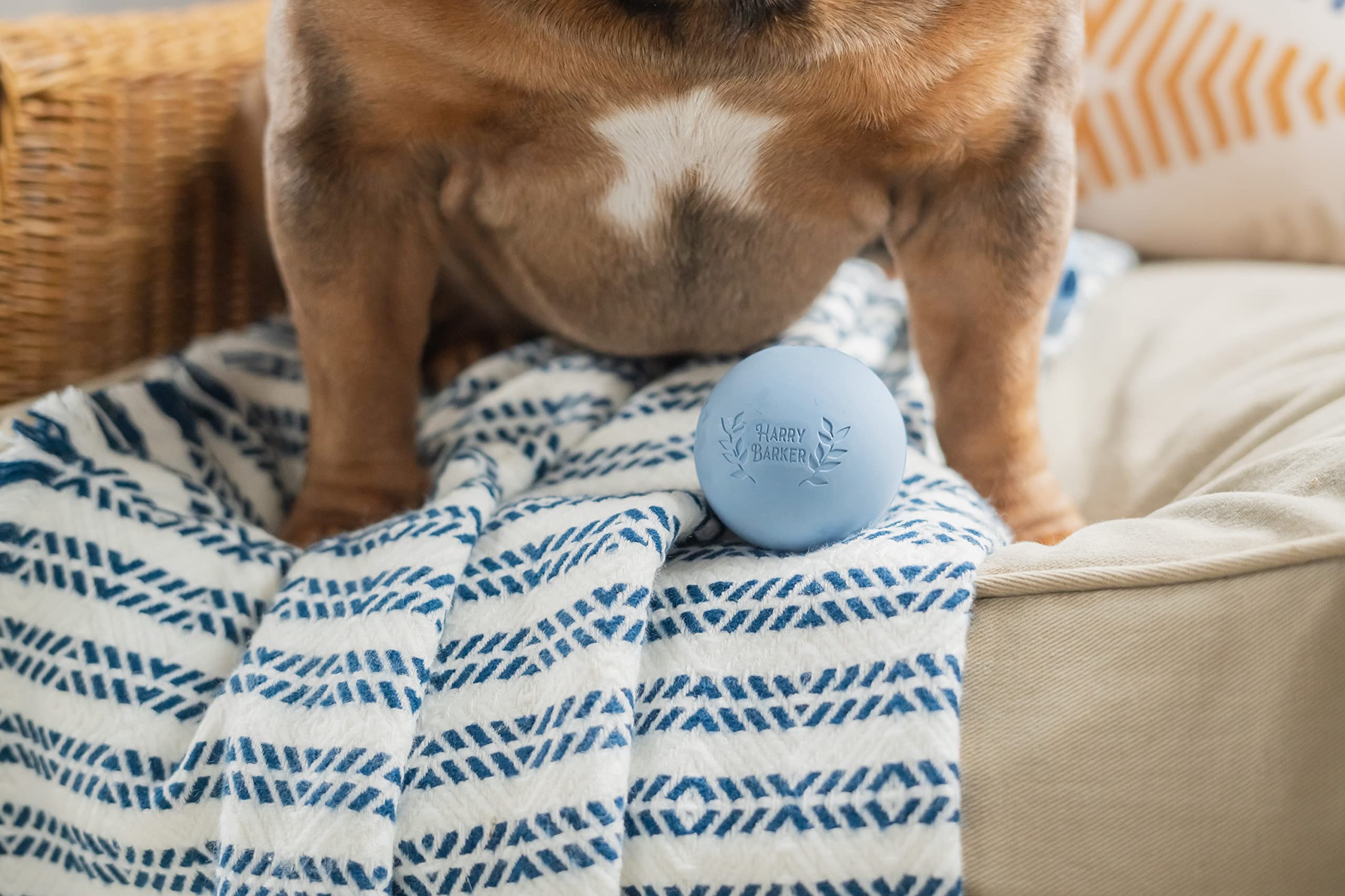 Harry Barker Rubber Balls And Rubber Chew Stick, Rubber Bone For Dogs - 2.5'' Rubber Balls - 6 Pack