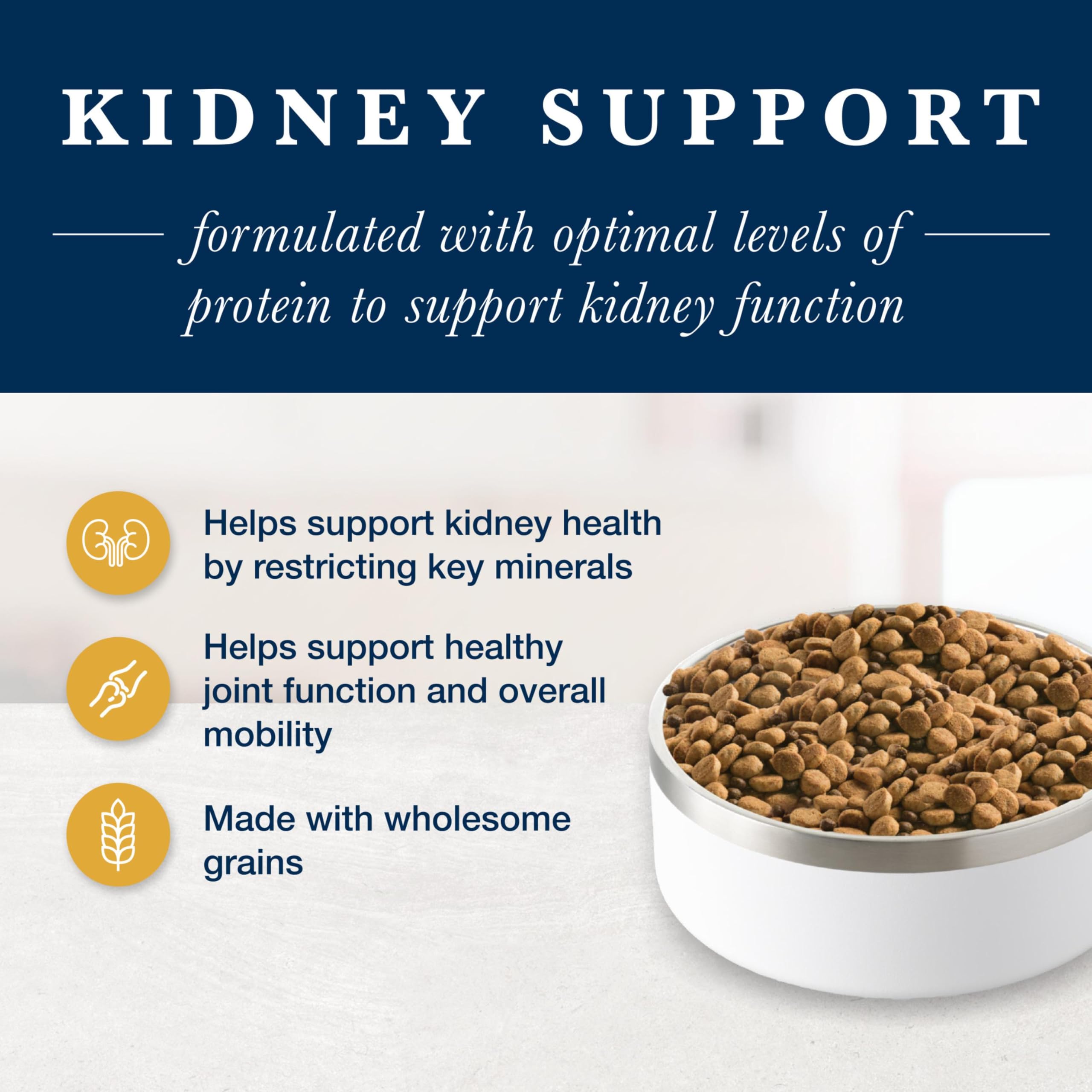 Blue Buffalo Natural Veterinary Diet KS Kidney Support Dry Dog Food, Chicken 22-lb bag