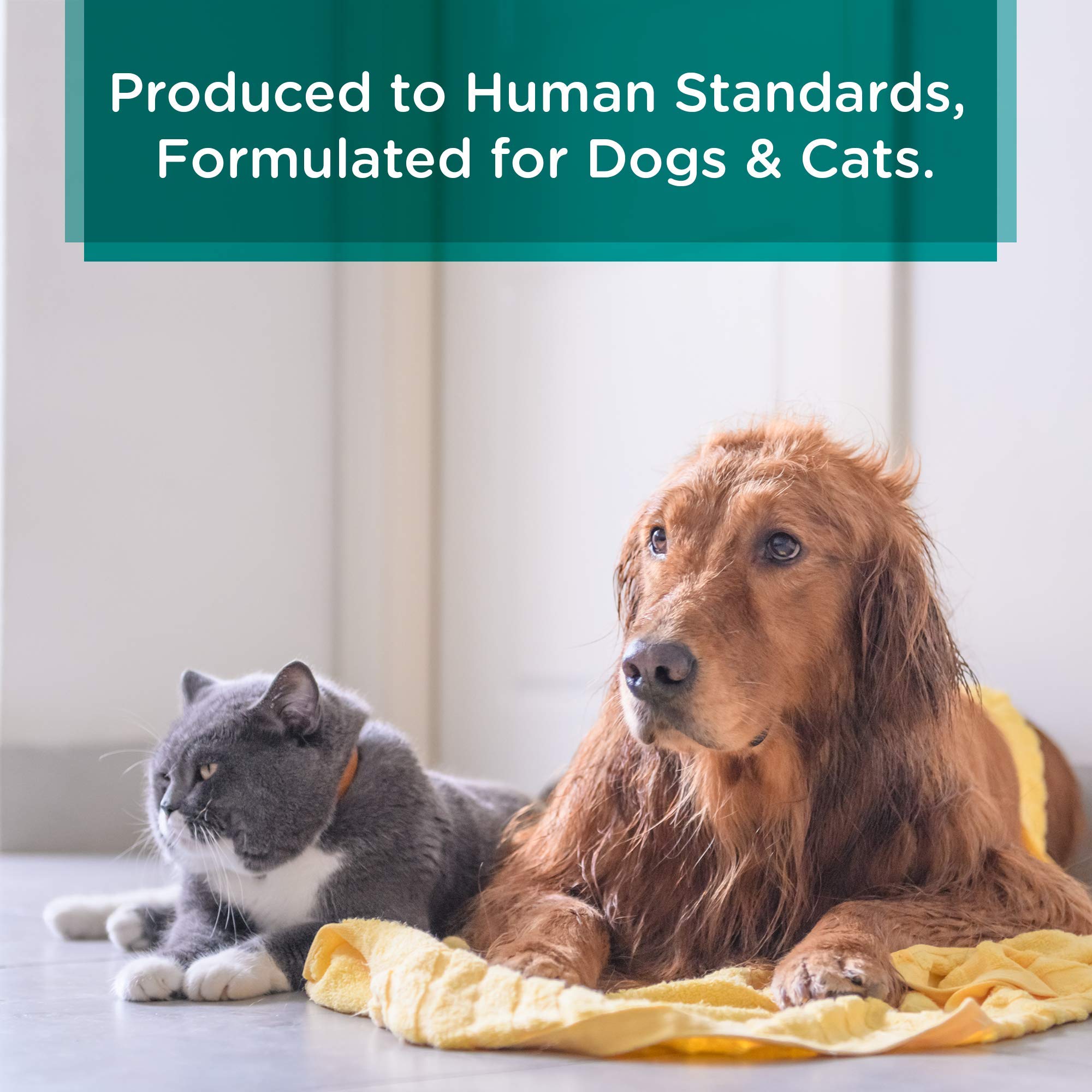 Lillian Ruff Calming Oatmeal Pet Conditioner For Dry Skin & Itch Relief With Aloe & Hydrating Essential Oils - Replenish Moistur