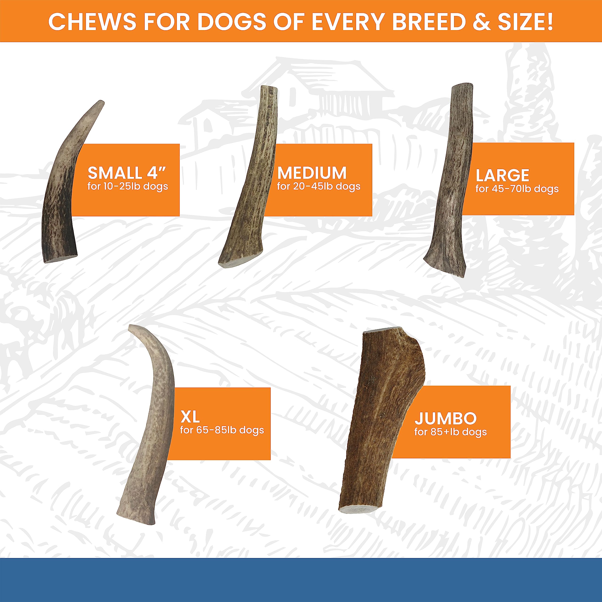 K9warehouse Natural Elk Antlers for Dogs - Premium Grade Dog Antler Chews - Long-Lasting Whole Deer Antles Ideal for Aggressive