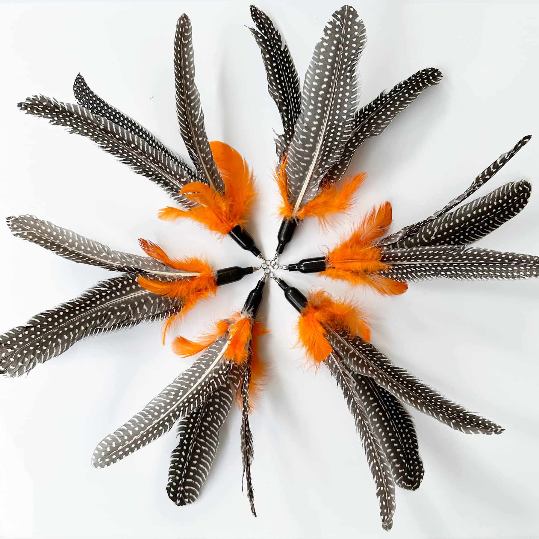 Cateneed Cat Feather Toys Refill, 6 Pieces Cat Wand Attachments Da Bird Feathers Toy For Indoor Cats