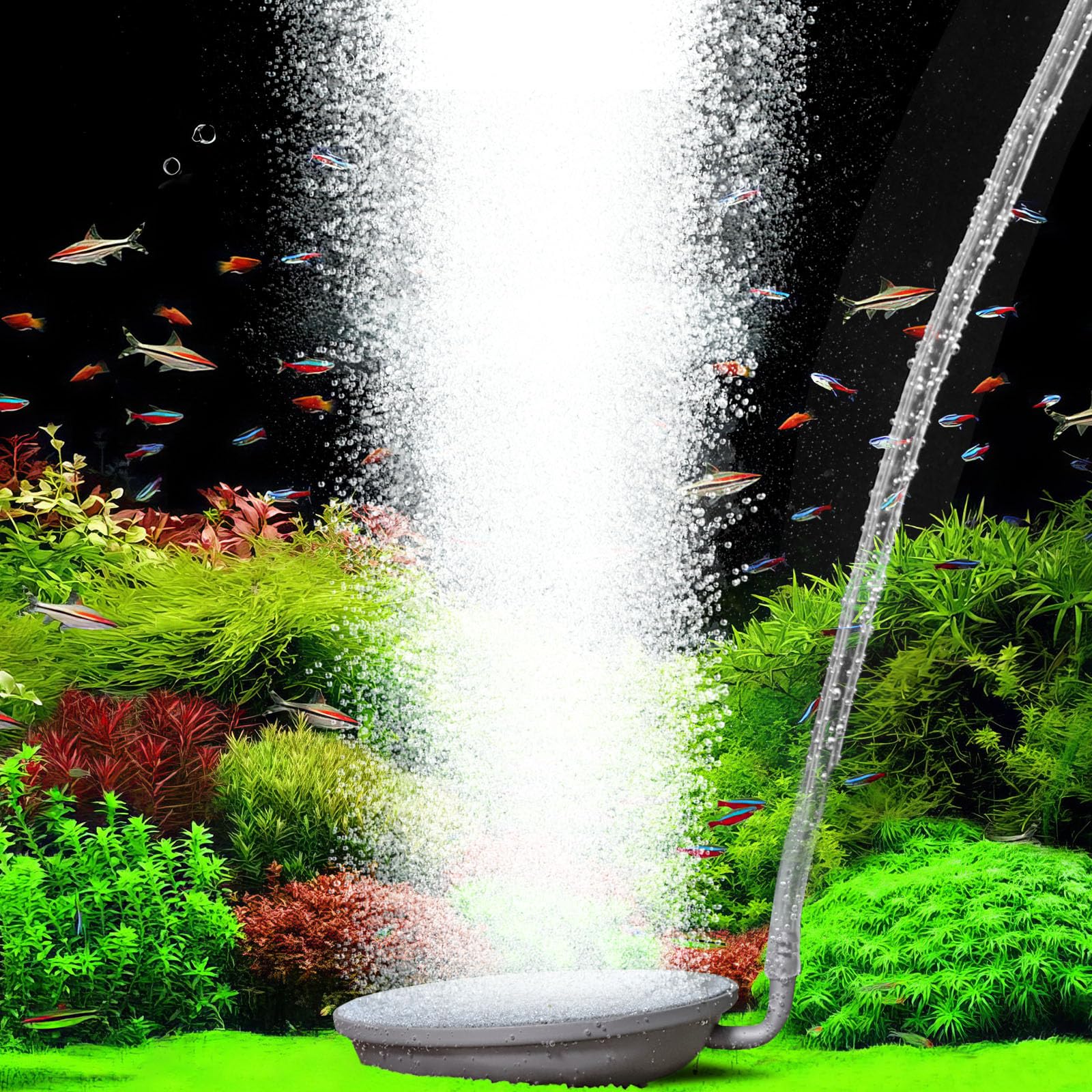 hygger Aquarium Air Stone, 2.3 Inch Fish Tank Bubbler Stone Kit Makes Super Tiny Bubbles, Ultra-High Dissolved Airstone with Sta