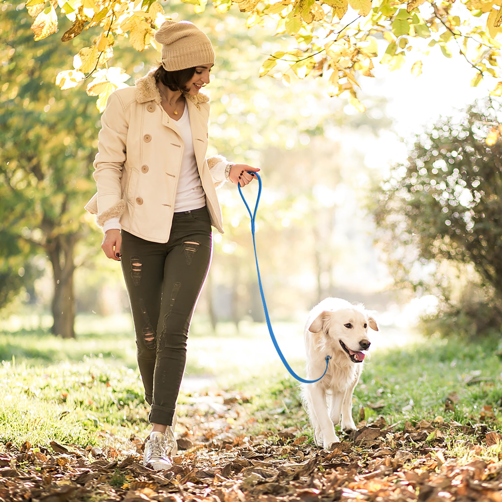 Dogline Biothane Slip Dog Leash - For Small, Medium And Large Dogs - Odor Free Slip Lead, Heavy Duty And Durable Material Kennel Lead - Cerulean Blue - 7Ft L X 1/2In W