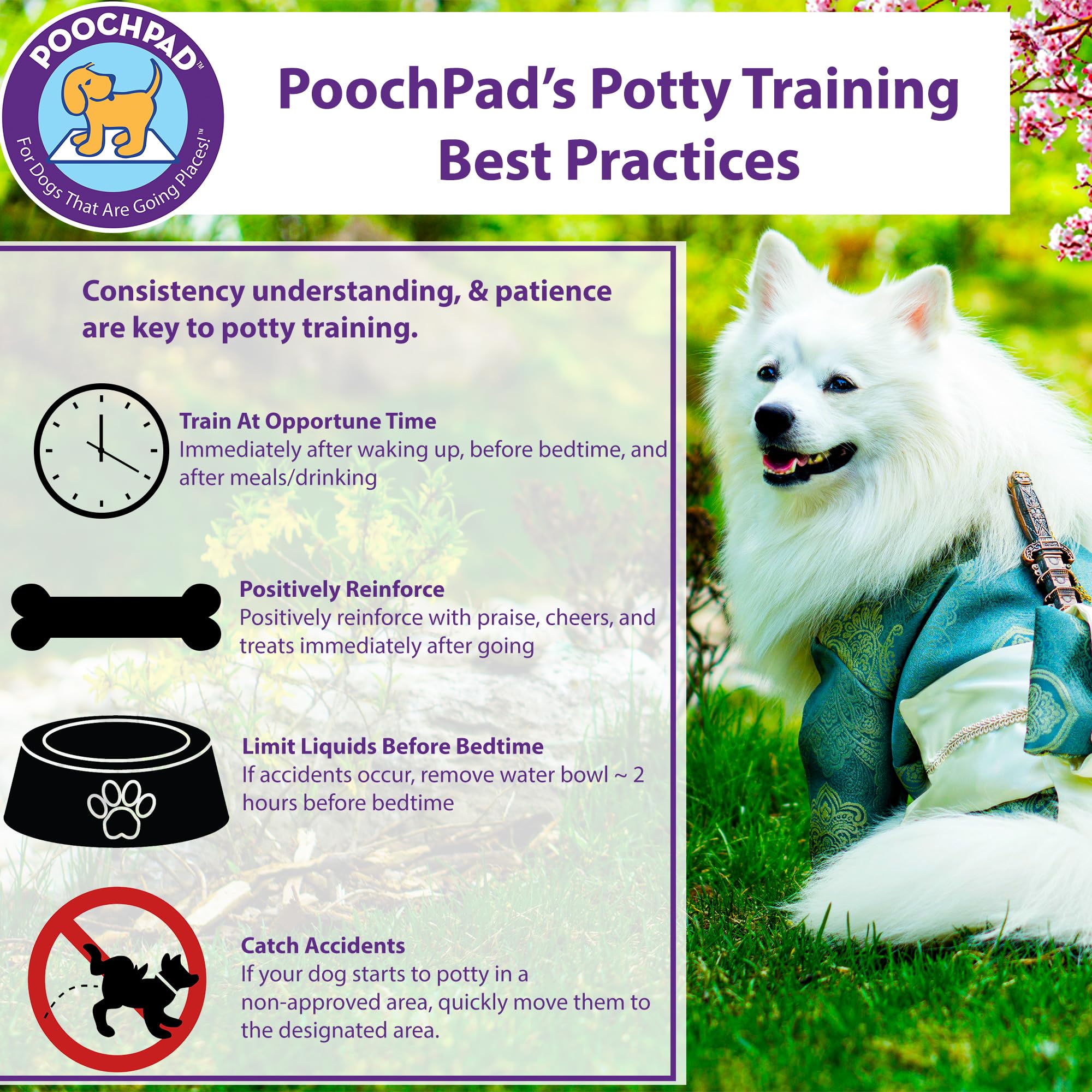 PoochPad Potty Training Attractant Spray for Dogs & Puppies 16 oz, Made in USA, Indoor Potty Pad & Outdoor Use, Dog Training & B