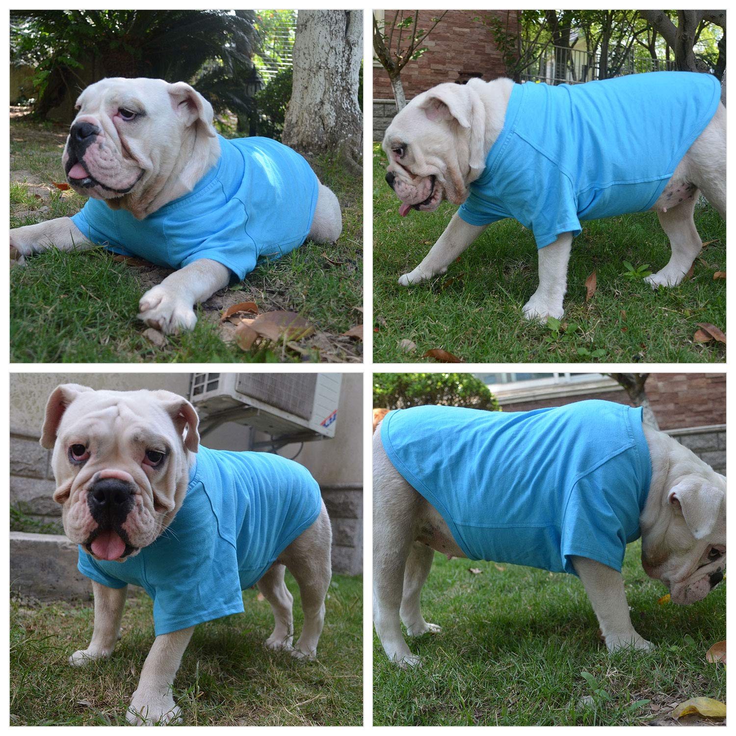 Lovelonglong Bulldog Clothes Dog Clothing Blank T-Shirt Tee Shirts For French Bulldog English Bulldog American Pit Bull Pugs 100% Cotton Skin Care Lake-Blue B-L