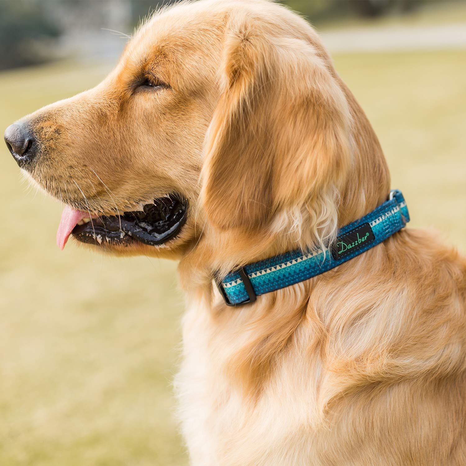 Dazzber Martingale Collar Dog Collar No Pull Pet Collar Heavy Duty Dog Martingale Collars Silky Soft With Unique Geometric Pattern For Medium And Large Dogs (Large, Turquoise)