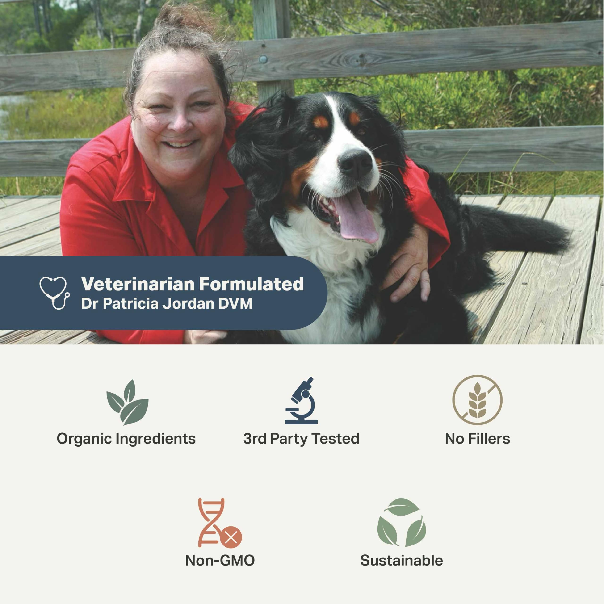 Hip & Joint - Joint Supplement for Dogs with Green Lipped Mussel, Eggshell Membrane and Curcumin - Veterinarian Formulated - 60