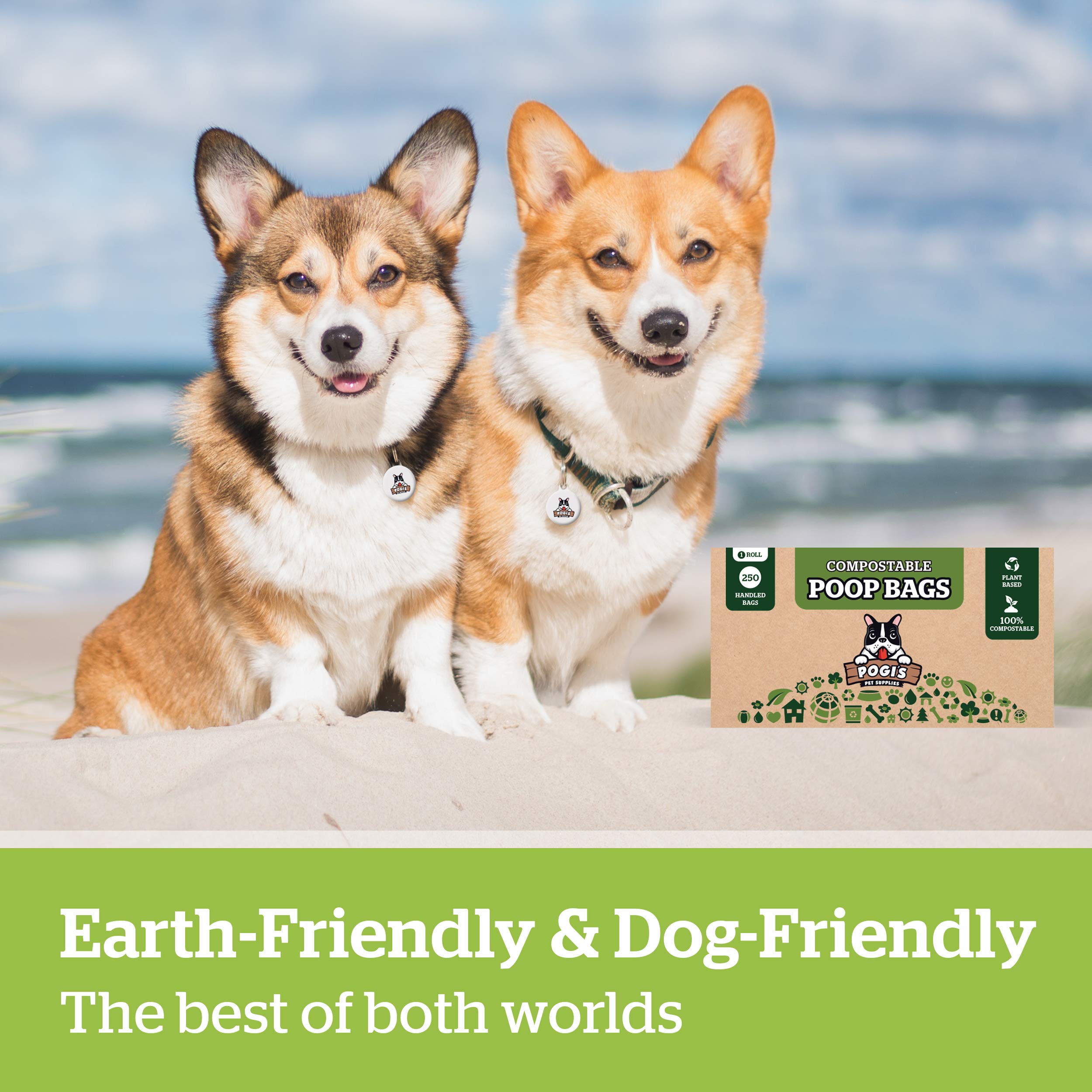 Pogi'S Compostable Dog Poop Bags With Handles - 250 Doggie Poop Bags With Easy-Tie Handles - Leak-Proof Dog Waste Bags, Plant-Based, Astm D6400, En 13432 Certified Extra Large Poop Bags For Dogs