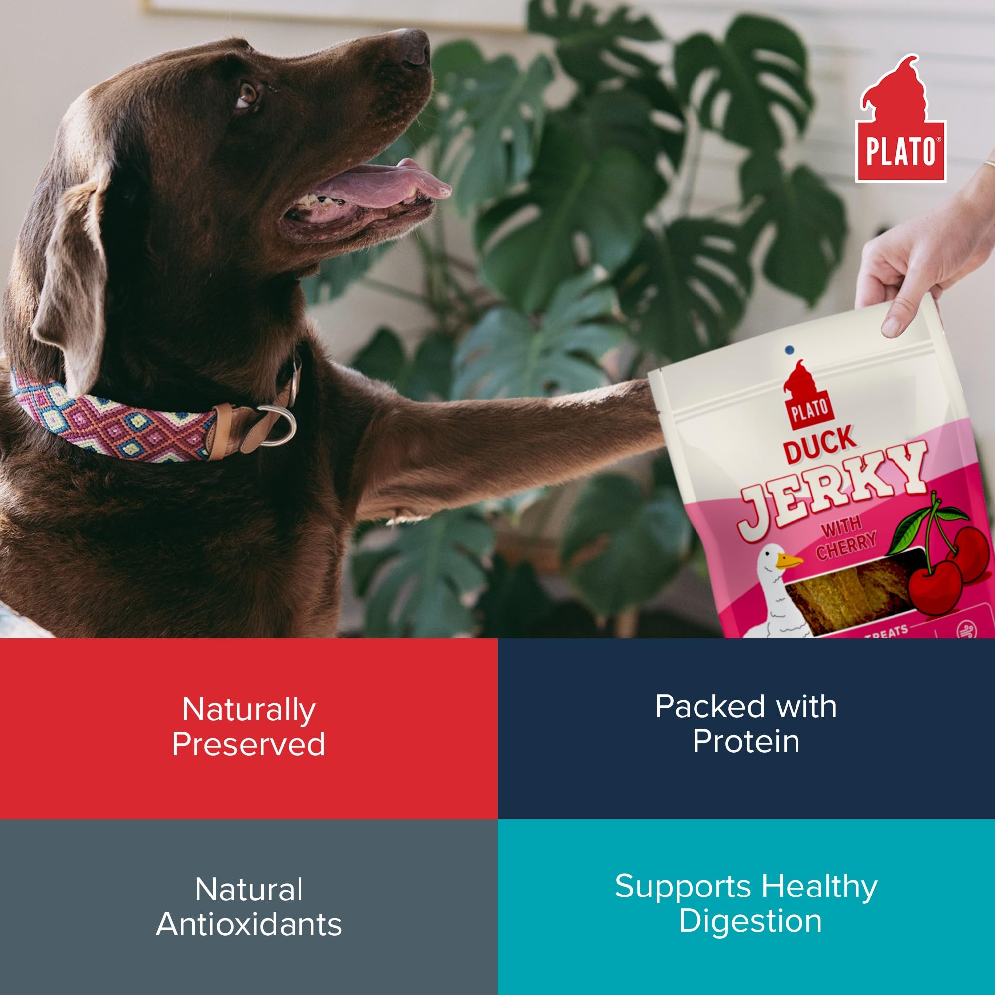 Plato Pet Treats - Air-Dried Jerky - Delicious, Real Meat Dog Treats - Grain Free - Supports Healthy Digestion - Duck with Cherr