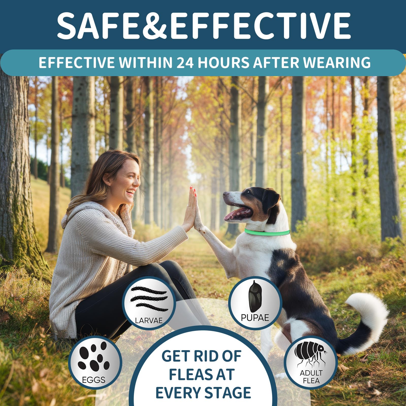 4 Pack Flea Collar For Dogs, Flea And Tick Collars For Dogs, 32 Months Flea And Tick Prevention For Dog, Dog Flea And Tick Treat