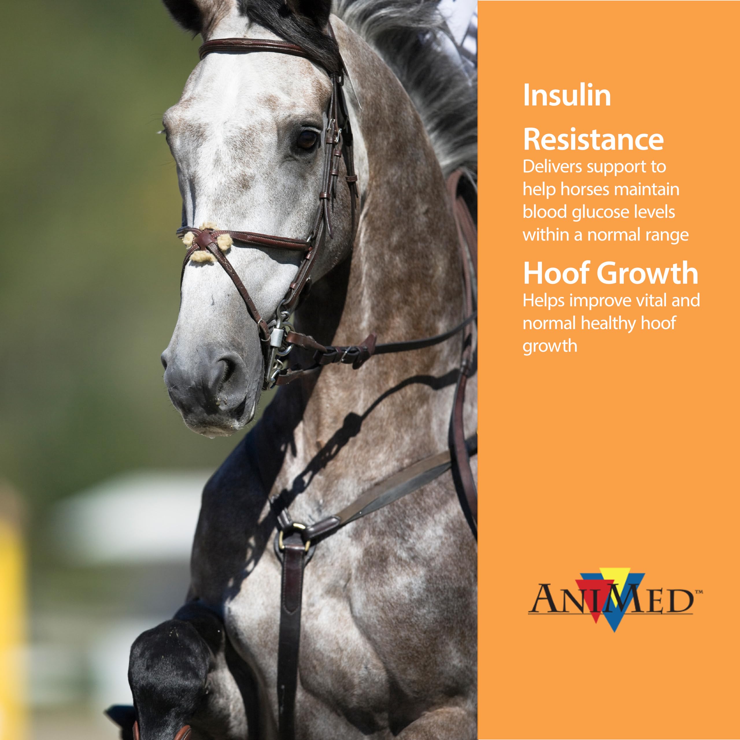 AniMed Remission 10 lb