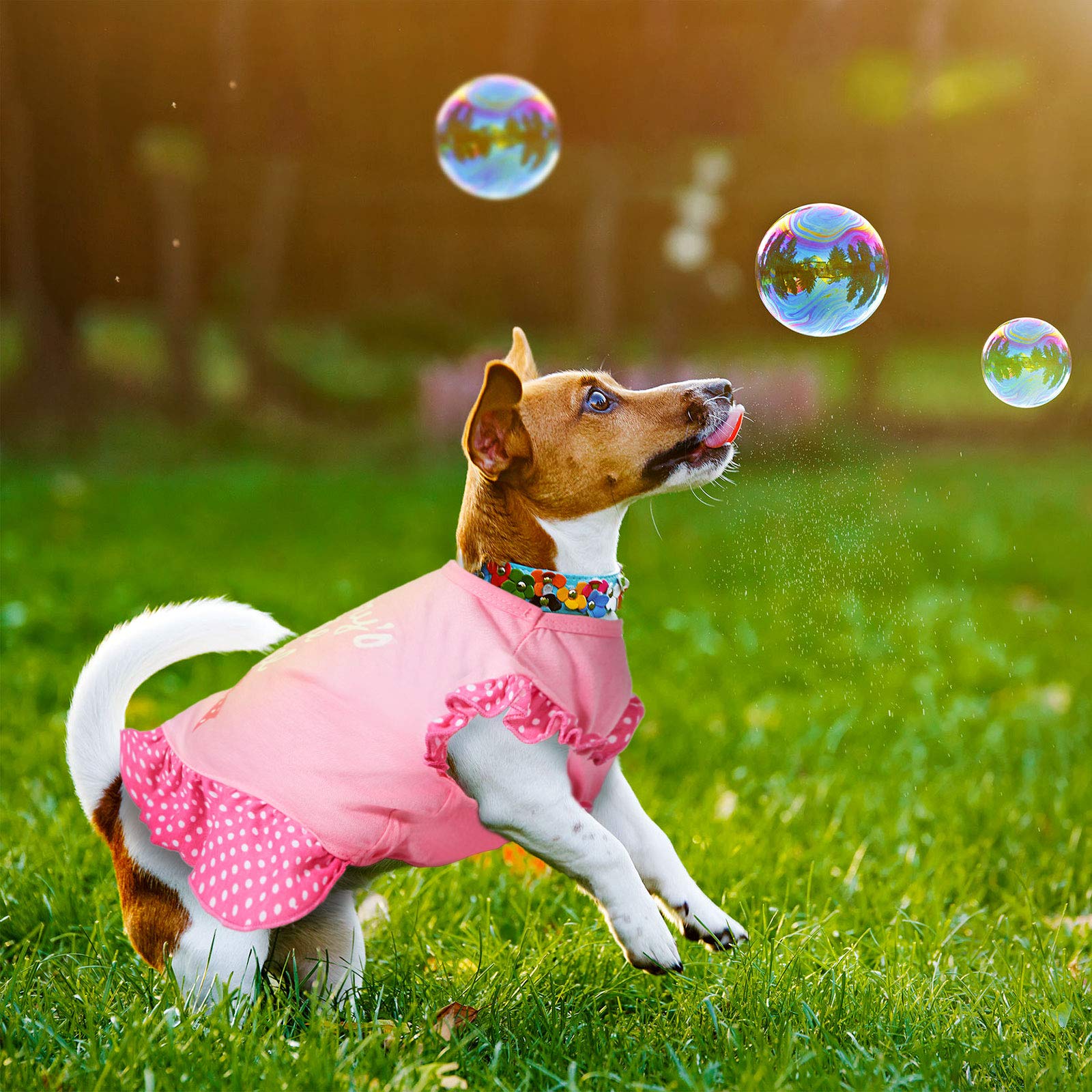 2 Pieces Dog Dresses For Small Dogs Cute Girl Female Dog Dress Mommy Puppy Shirt Skirt Doggie Dresses Pet Summer Clothes Apparel For Dogs And Cats (Love And Angel,Large)