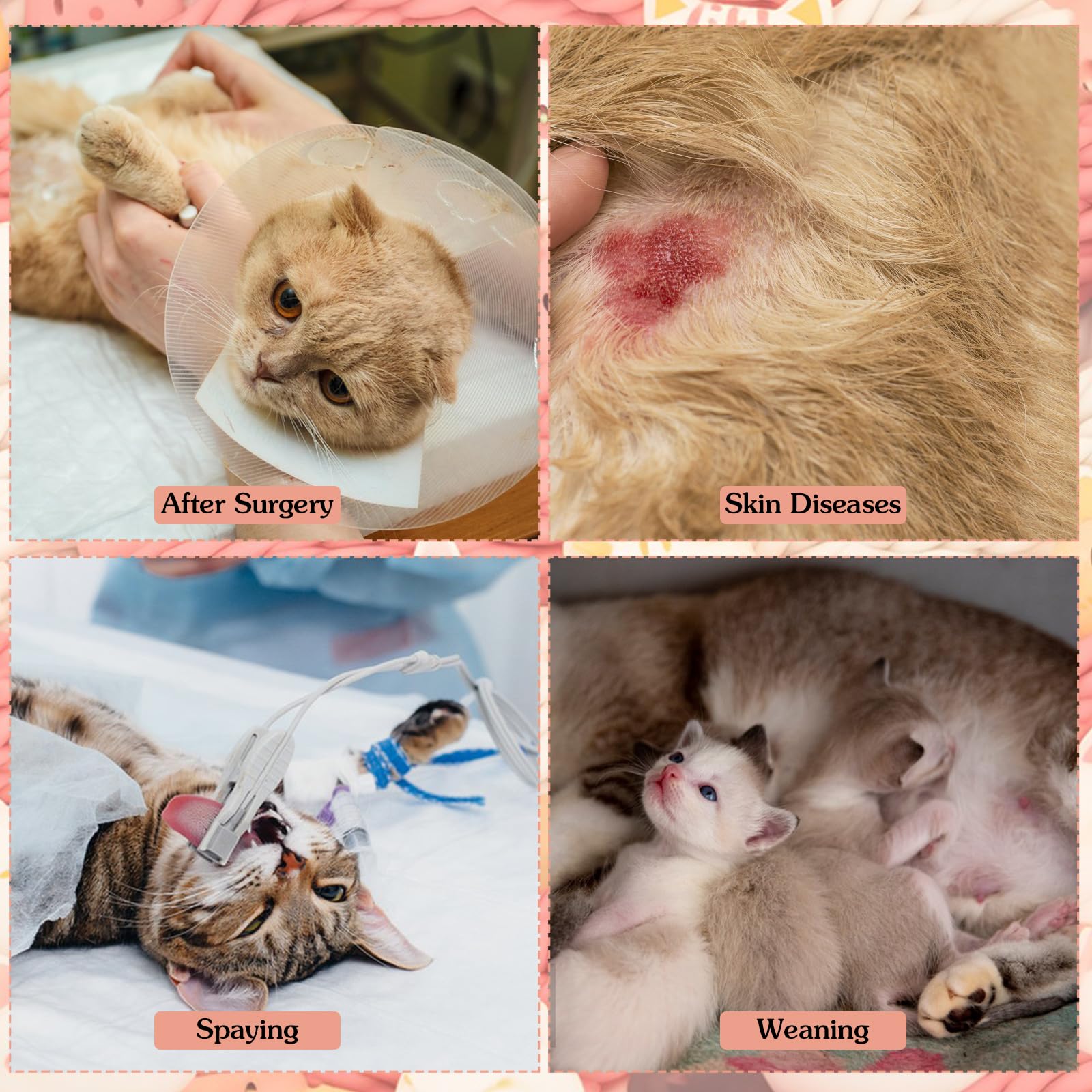 Yuanchu Cat Suit For After Surgery, Anti Licking Breathable Cat Outfits For Female Cats Neuter Recovery Suit Male E-Collar Alter