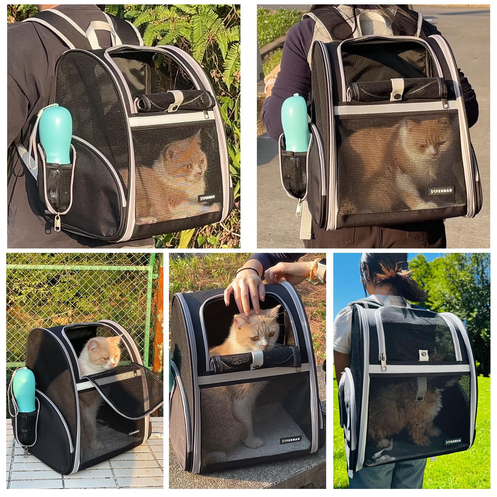 Cat Backpack Carrier Pet Backpack Carrier For Small Dogs And Medium Cat Puppy Kitten Bunny Up To 15Lbs, Cat Carrying Backpack Co