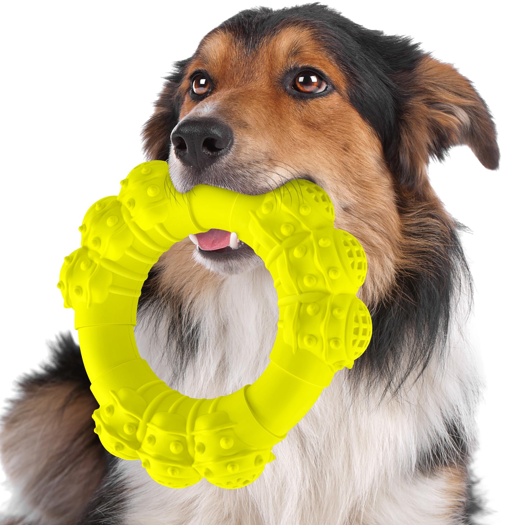 Daoziji Indestructible Dog Chew Ring Toys For Aggressive Chewers, Super Chewer Dog Toys For Medium Large Dogs, Puppy Teething Ri