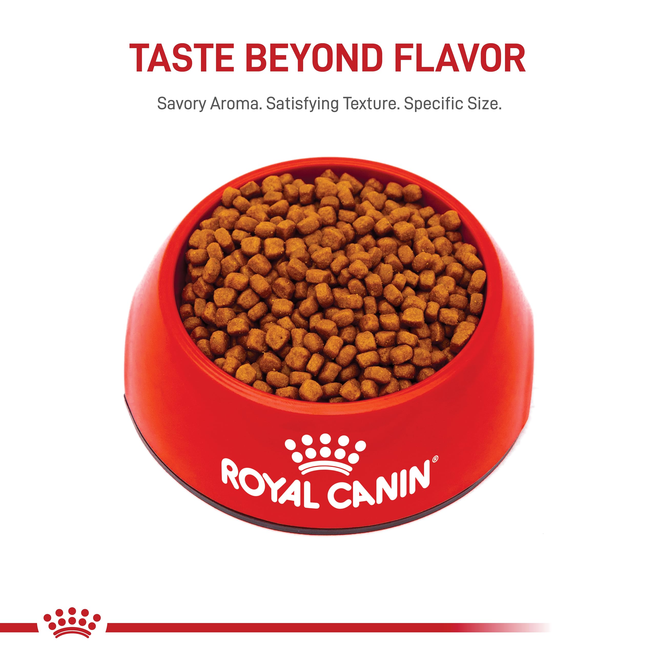 Royal Canin Persian Breed Dry Kitten Food, 3 lb.