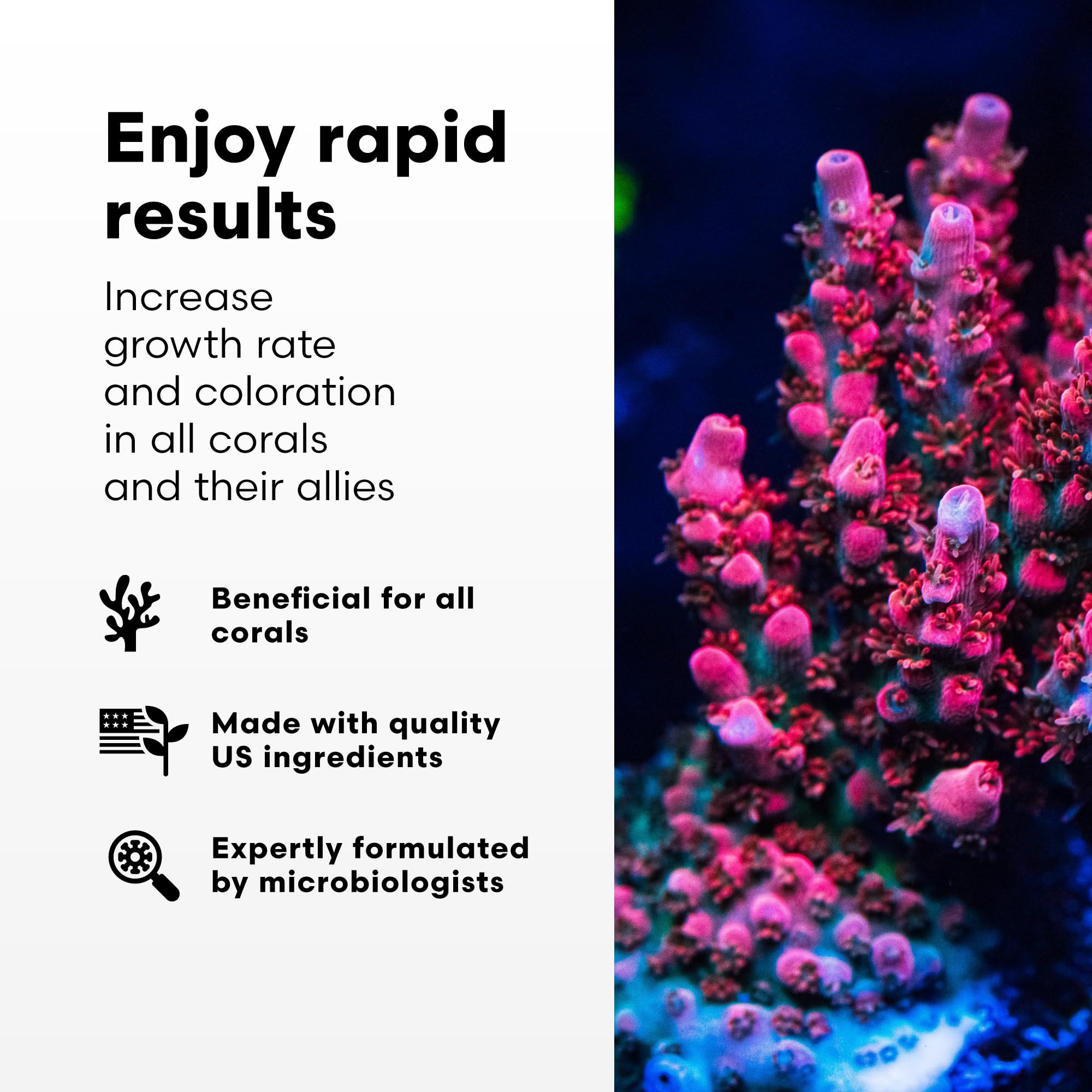Brightwell Aquatics CoralAmino - Complex of Amino Acids for Corals - Coral Food for Aquarium Coral Growth - Saltwater Aquarium T