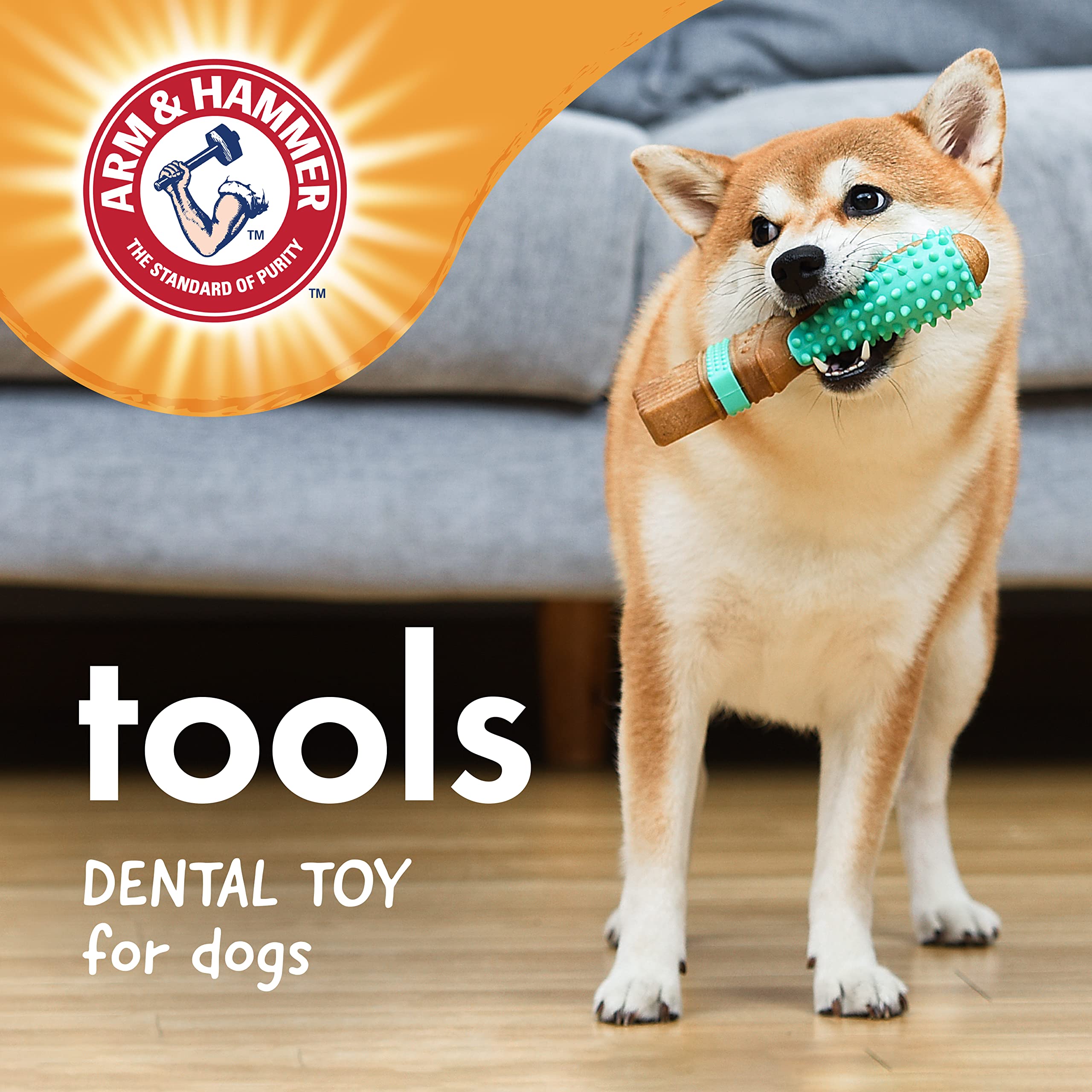 Arm & Hammer Chew Tools Collection Dog Toy - 7.5 Inch Compressed Wood Paintbrush Chew Toy, Durable & Safe Alternative to Chewing Sticks
