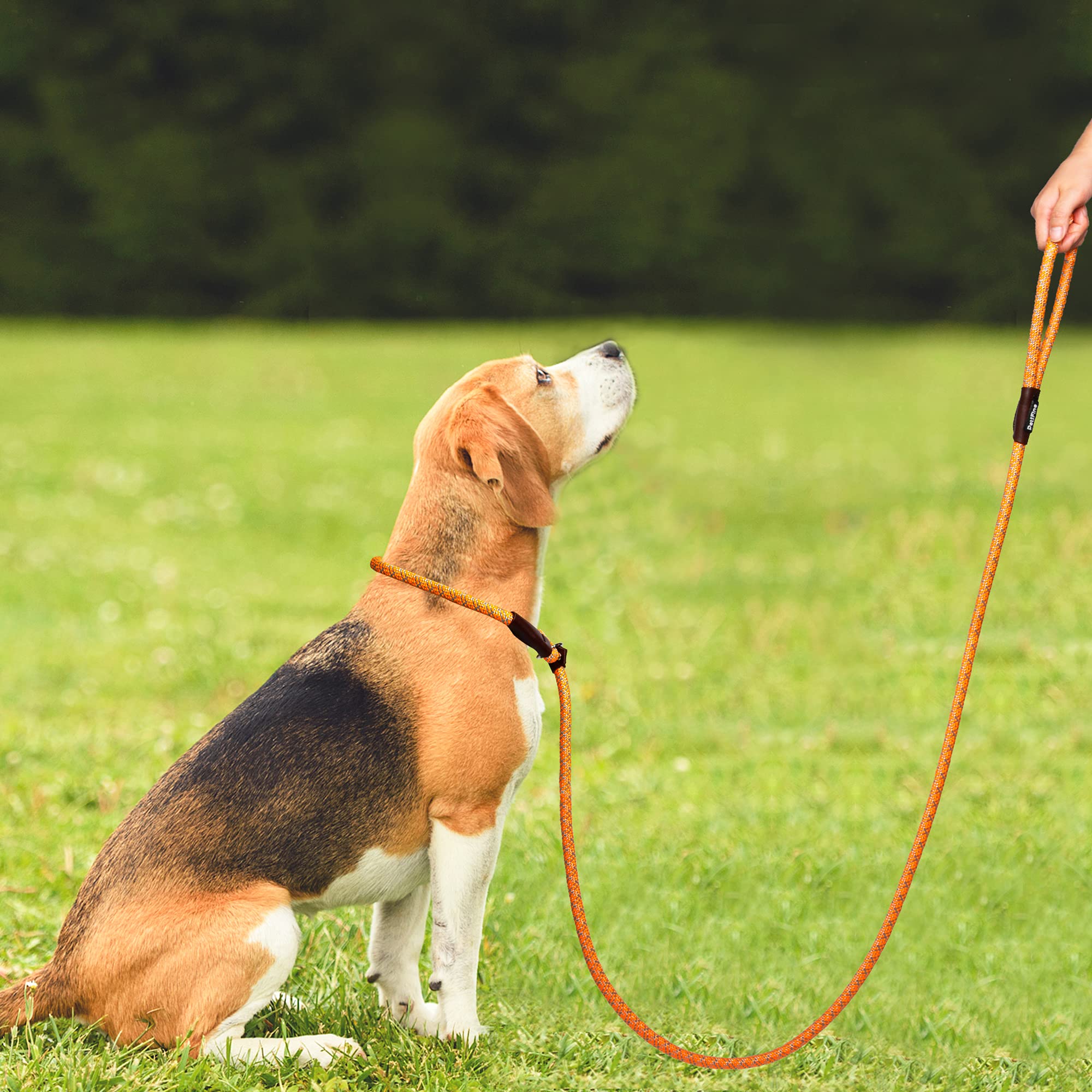 Petifine Slip Lead Dog Leash, Full Reflective Slip Knot Dog Training Leashes, Heavy Duty Adjustable Pet Nylon Slip Loop Leash For Small Medium Large Dogs (1/2' X 6 Ft, Orange)
