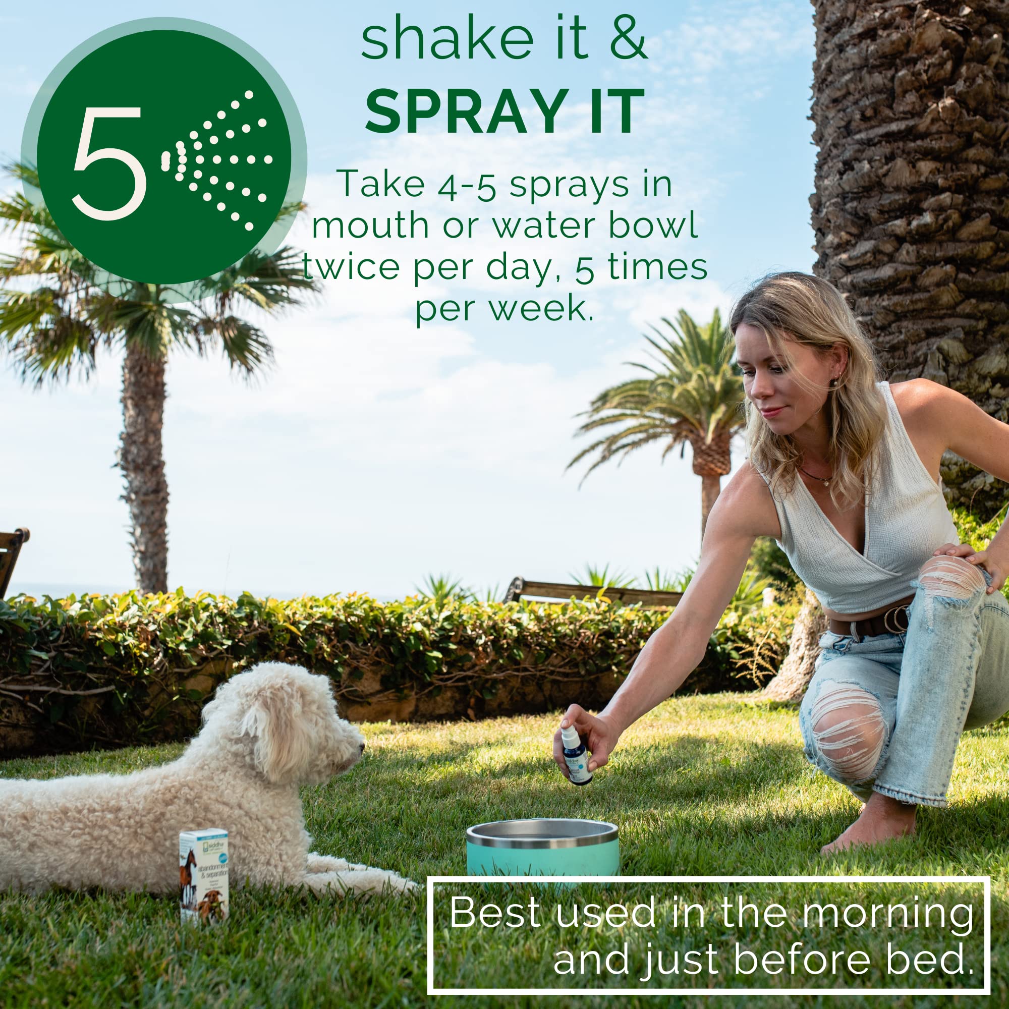 Siddha Remedies Abandonment & Separation for Pets | Natural Homeopathic Remedy for Dogs, Cats, and Animals | Naturally Helps Ani