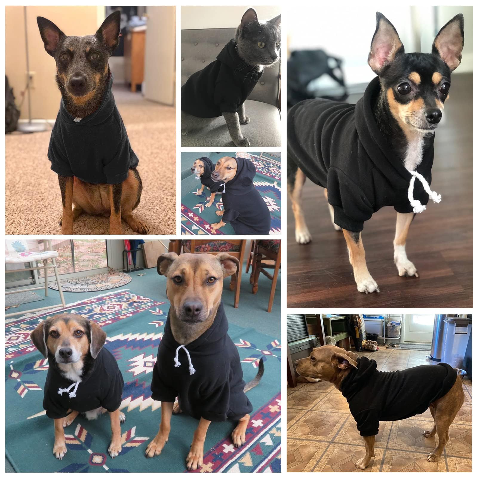 Bingpet Dog Hoodie,Fleece Lined Fall Cold Winter Dog Puppy Sweatshirt With Leash Hole,Soft Warm Dog Sweaters Outfit,Pullover Happy Hoodie For Small Medium Large Dogs Cats Boys And Girls(Black,Sm)