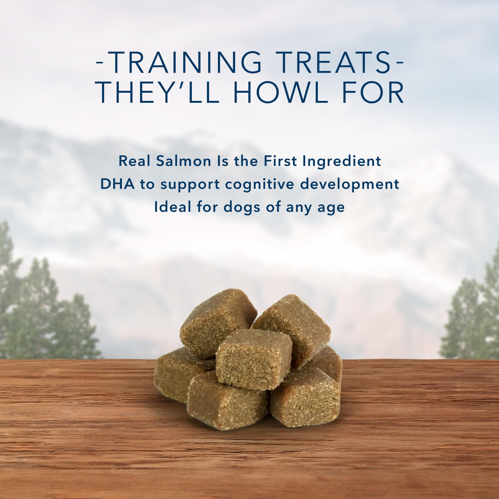 Blue Buffalo Wilderness Trail Treats Wild Bits High Protein Grain Free Soft-Moist Training Dog Treats, Salmon Recipe 10-oz Bag