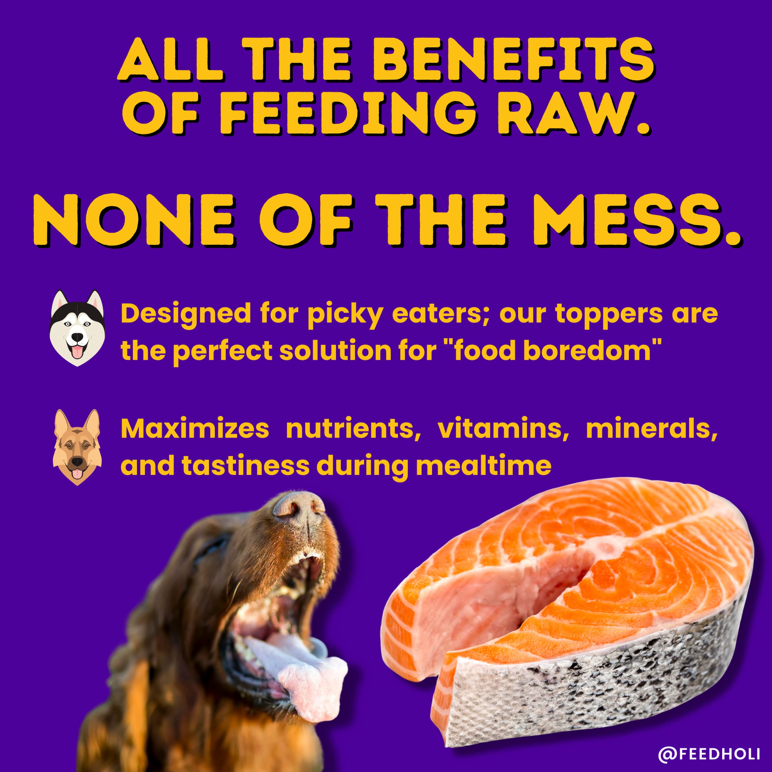 HOLI Freeze Dried Salmon Dog Food Topper - with Omega 3 & 6 - Single Ingredient, Human-Grade Wild Caught Salmon - Dog Food Flavo