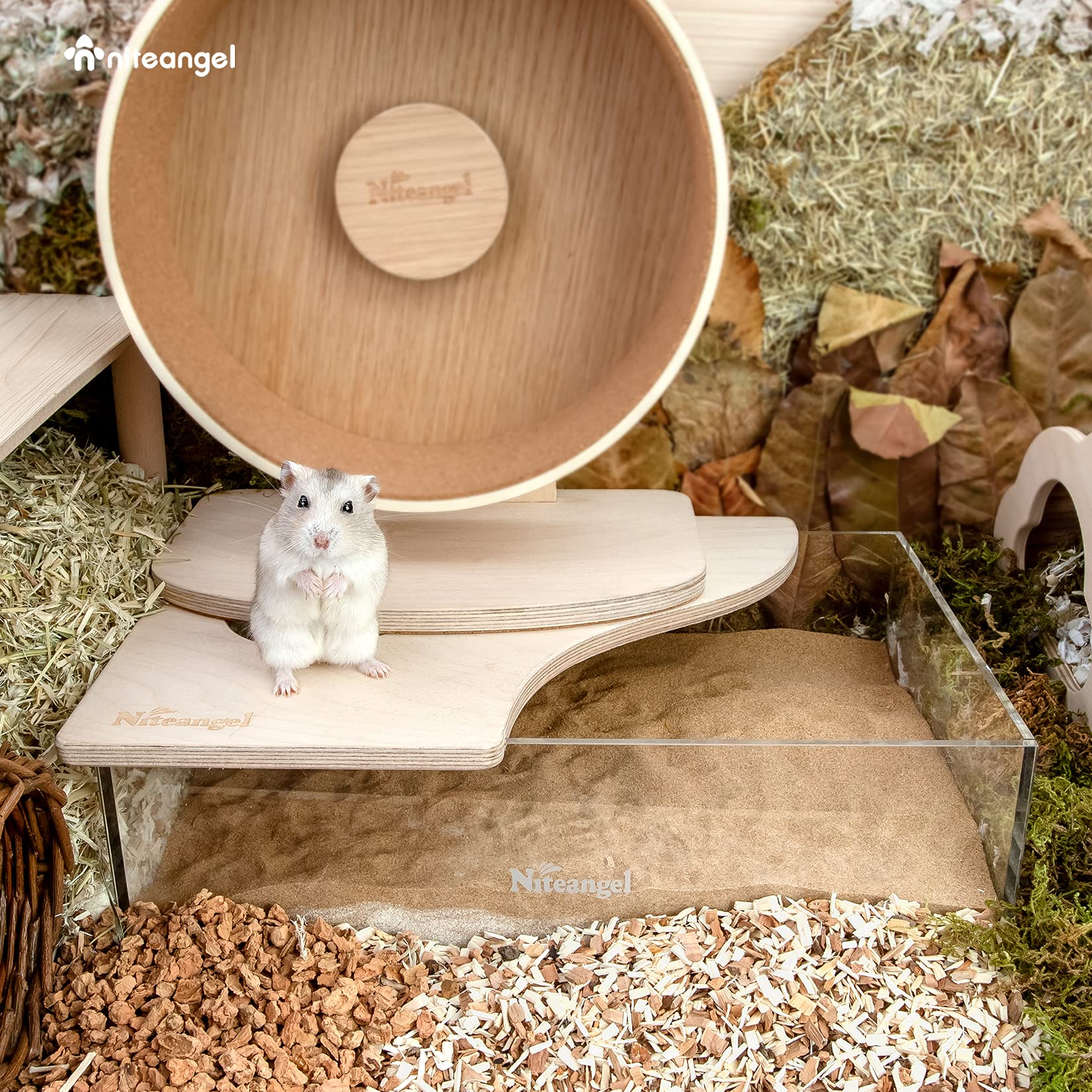 Niteangel Small Animal Sand-Bath Box: - Acrylic Critter'S Sand Bath Shower Room & Digging Sand Container For Hamsters Mice Lemming Gerbils Or Other Small Pets (Rectangle, Birch-Wood)