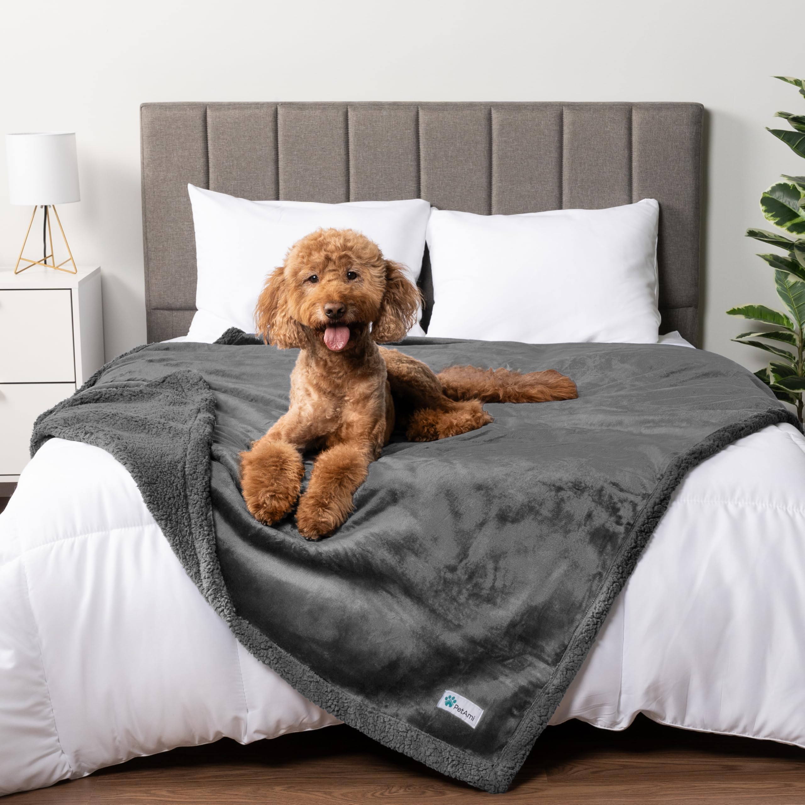 Petami Waterproof Dog Blanket For Bed, Xl Dog Pet Couch Cover Protection, Sherpa Fleece Leakproof Bed Blanket For Crate Kennel Sofa Furniture Protector, Reversible Soft Plush 80X60 Grey