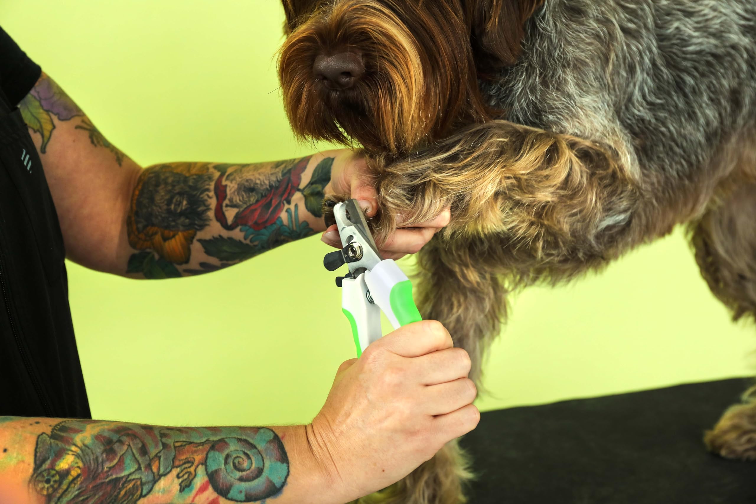 Andis 68575 Animal Nail Cutter for Small Breeds - Stainless Steel Blades with Sharp Efficiency - Designed for Repeated Use & Rec