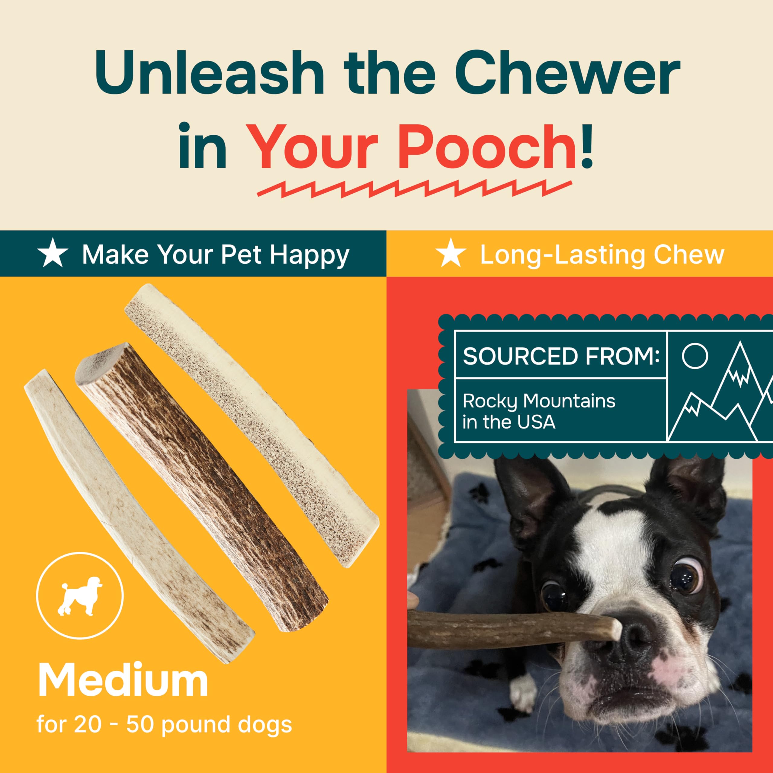 100% Natural - Split Elk Antlers for Dogs ( 3 pack ) - Naturally Shed in USA - Dog Antler Chews Medium Breeds - Natural, Long-La