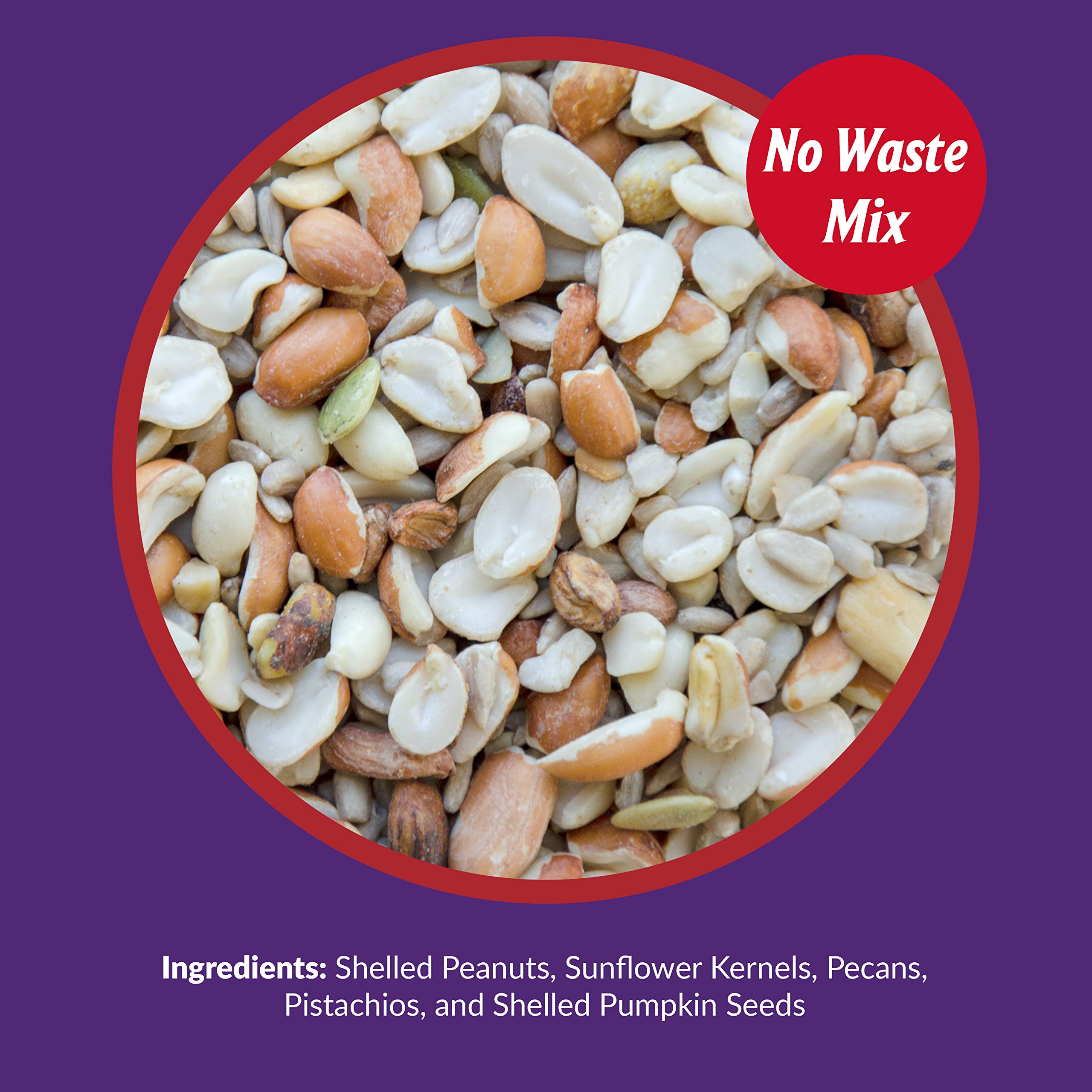 Lyric Delite Wild Bird Seed - No Waste Bird Food Mix with Shell-Free Nuts & Seeds - Attracts Buntings, Chickadees & Finches - 20