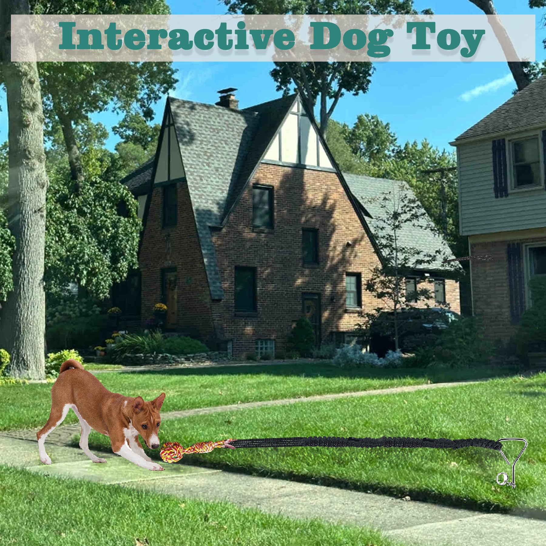 Sailstart Dog Bungee Tug Toy For Large/Medium/Small Dogs, Dog Tug Of War Toy With Stake,Outdoor Interactive Toys Can Be Used On