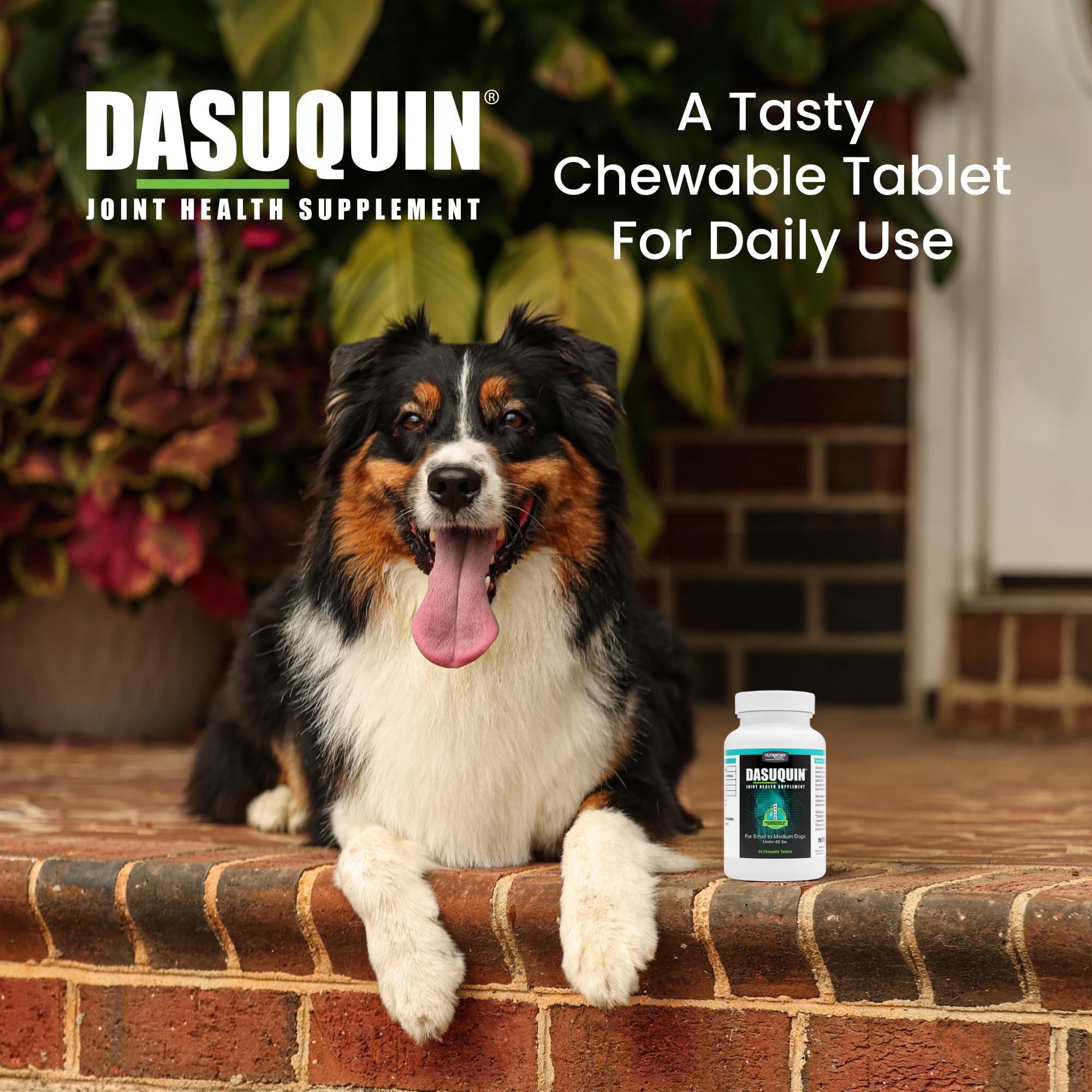 Nutramax Dasuquin Joint Health Supplement for Small to Medium Dogs - With Glucosamine, Chondroitin, ASU, Boswellia Serrata Extra
