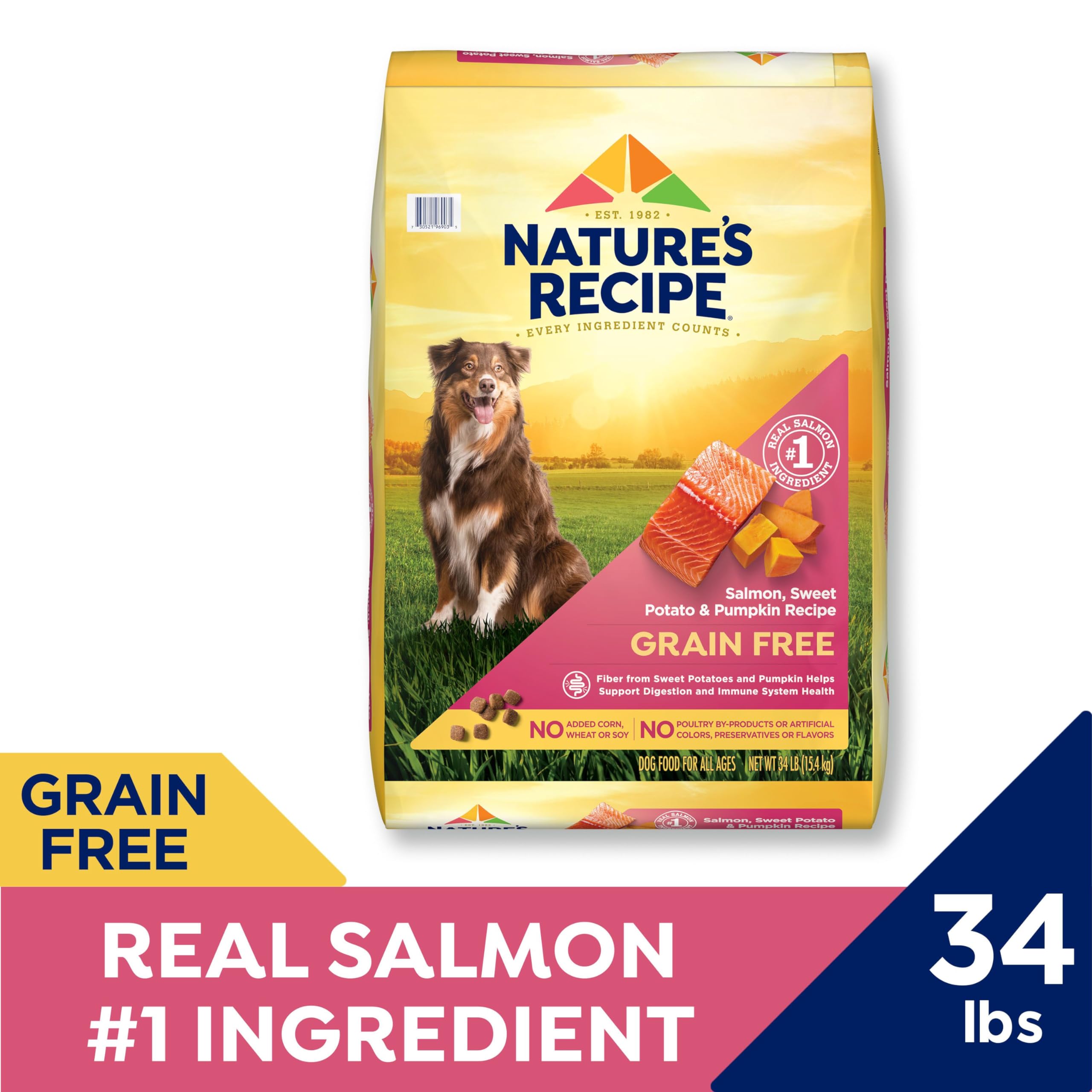 Nature s Recipe Grain Free Salmon, Sweet Potato & Pumpkin Recipe Dry Dog Food, 34 lb. Bag