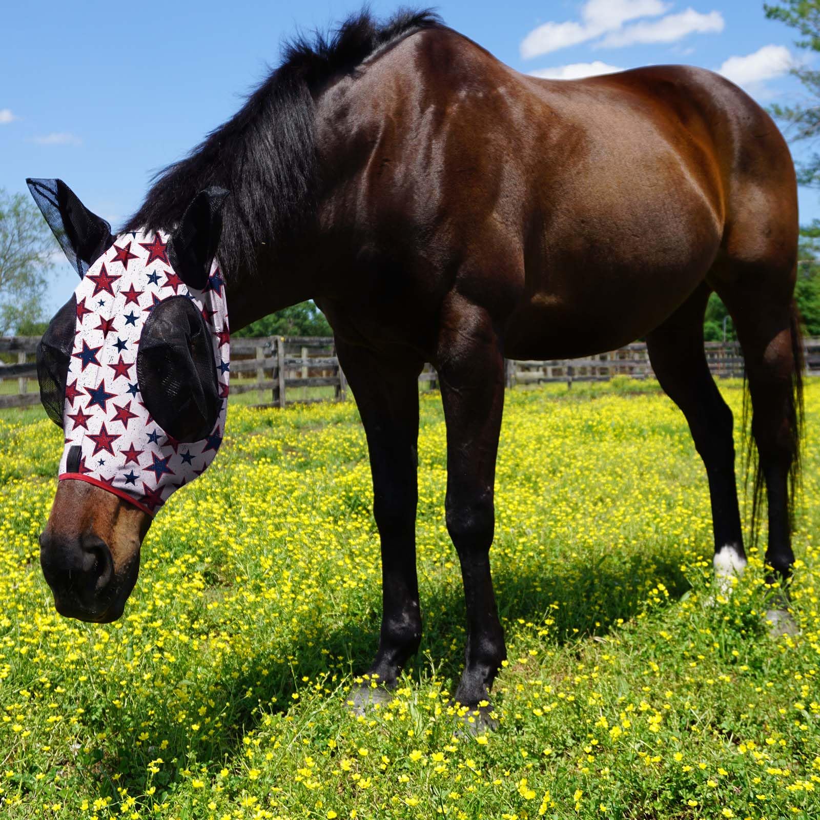 Harrison Howard Super Comfort Stretchy Fly Mask Large Eye Space with UV Protection Soft on Skin with Breathability Dream Star M