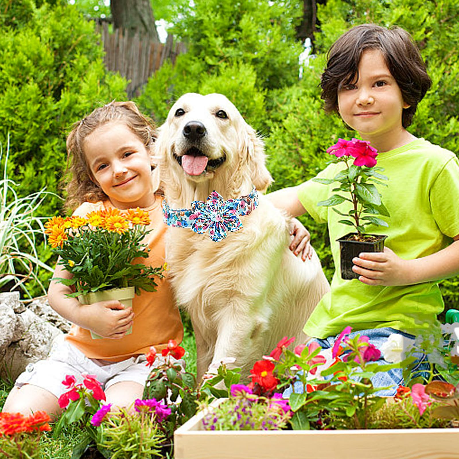 Lionheart Glory Floral Dog Collar with Flowers - Soft, Durable & Adjustable for Small Dogs
