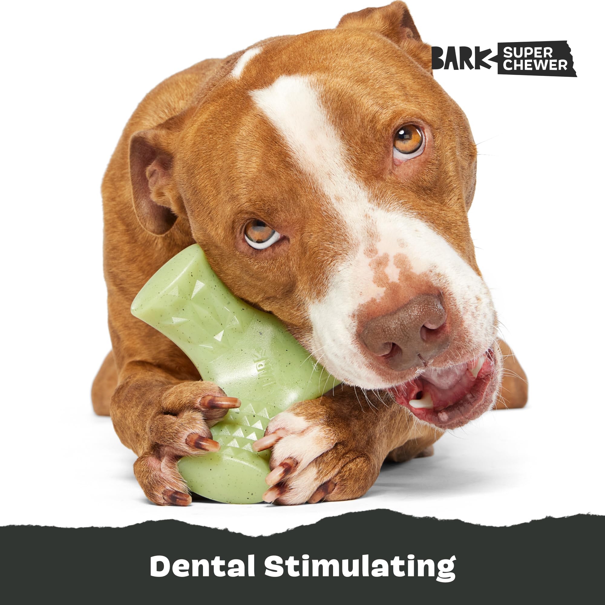 Barkbox Super Chewer Tough Dog Chew Toys For Aggressive Chewers, Dental Stimulating (Chopper - Large)