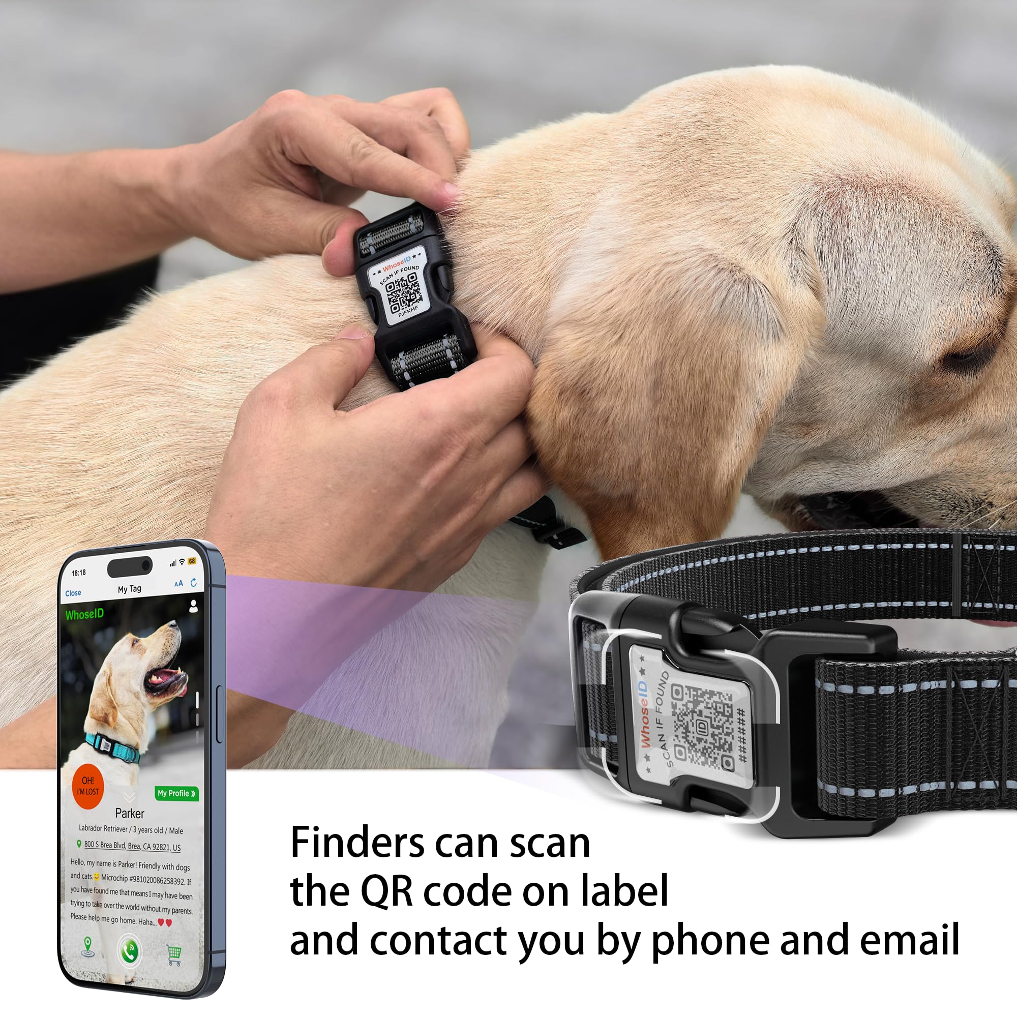 Dog Collar With Qr Code, Reflective Pet Collar, Soft Neoprene Padded & Safety Locking Buckle Adjustable Dog Collar For Medium Do