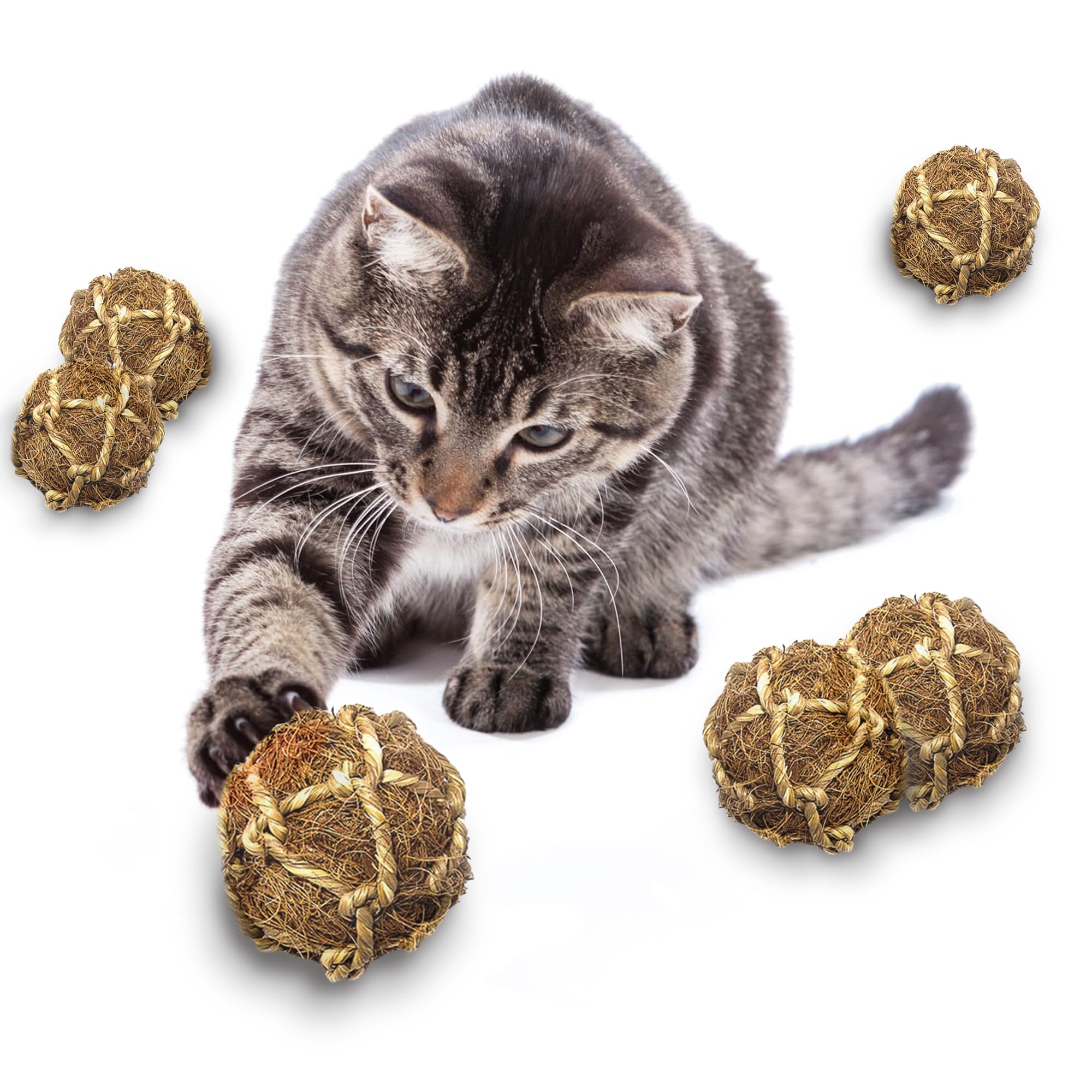 SunGrow Assorted Rabbit & Cat Chew Balls, Teething Activity Toy for Pocket Pets, Improves Dental Health, Environment Friendly, S