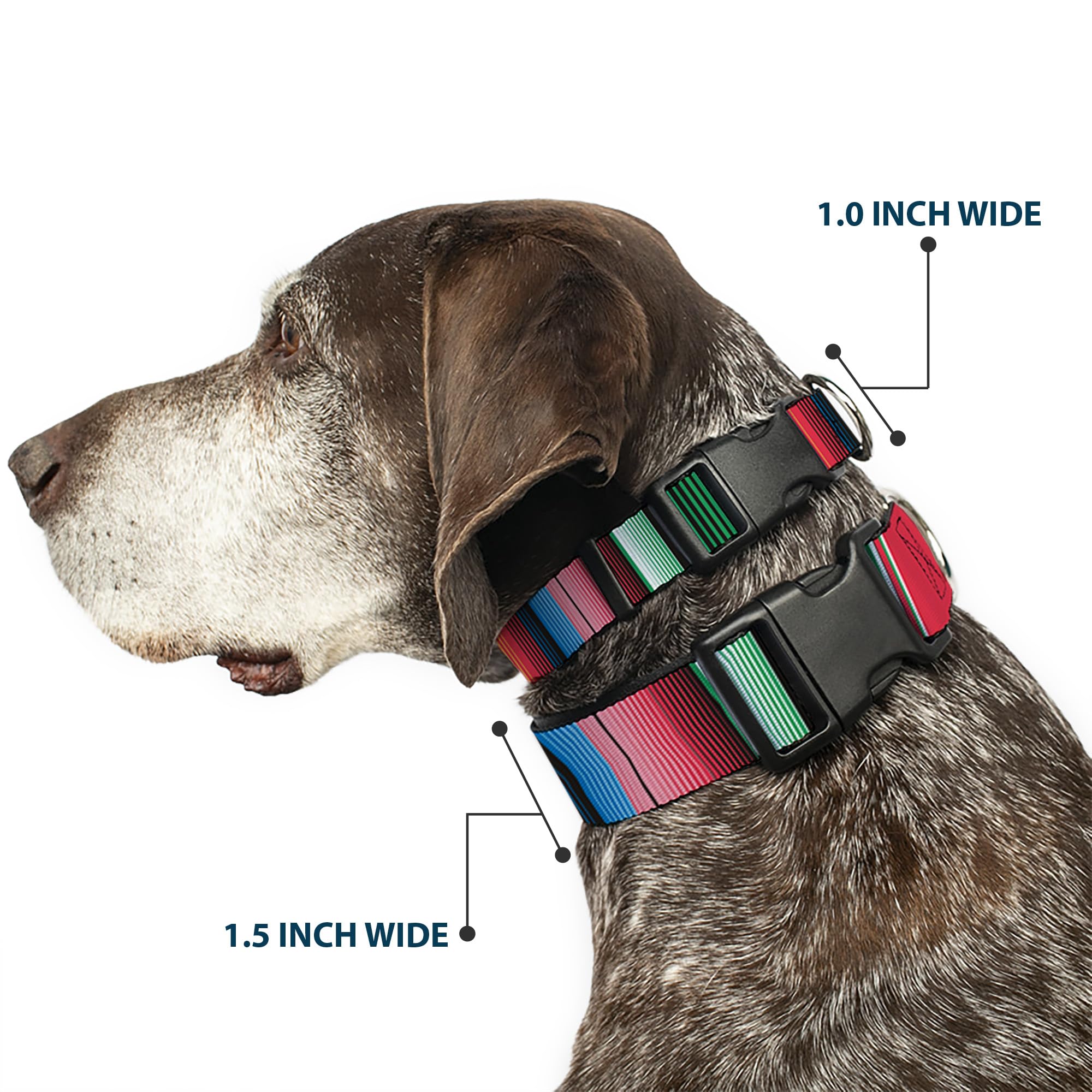 Buckle-Down Plastic Clip Collar - Zarape5 Vertical Multi Color Stripe - 1'' Wide - Fits 11-17'' Neck - Medium