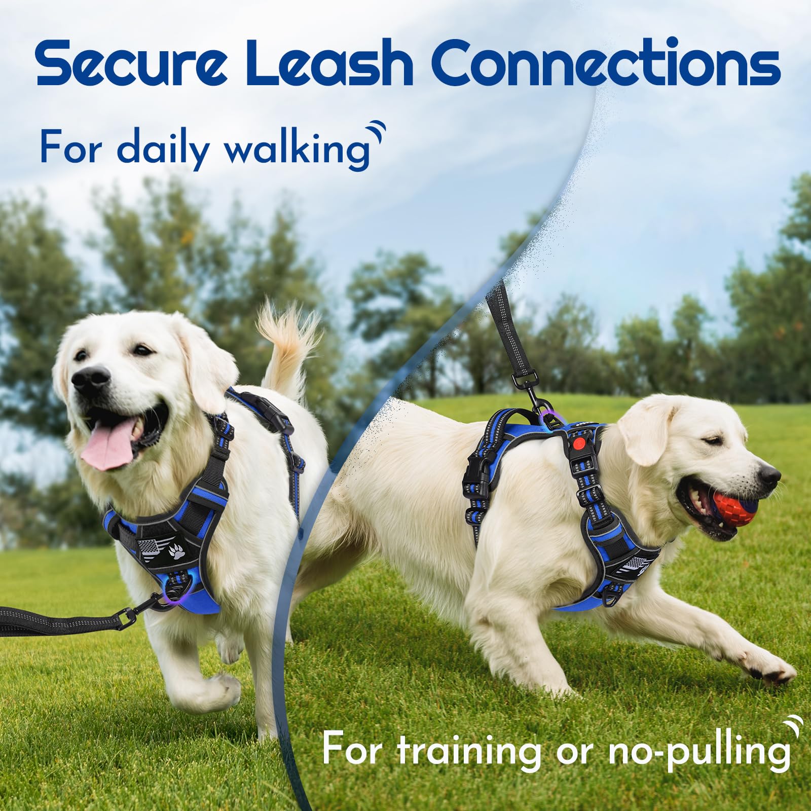 Eagloo Dog Harness Medium Sized, Easy Wearing with 3 Buckles, Adjustable No Pull Pet Harness with 2 Rings for Walking, No Chock